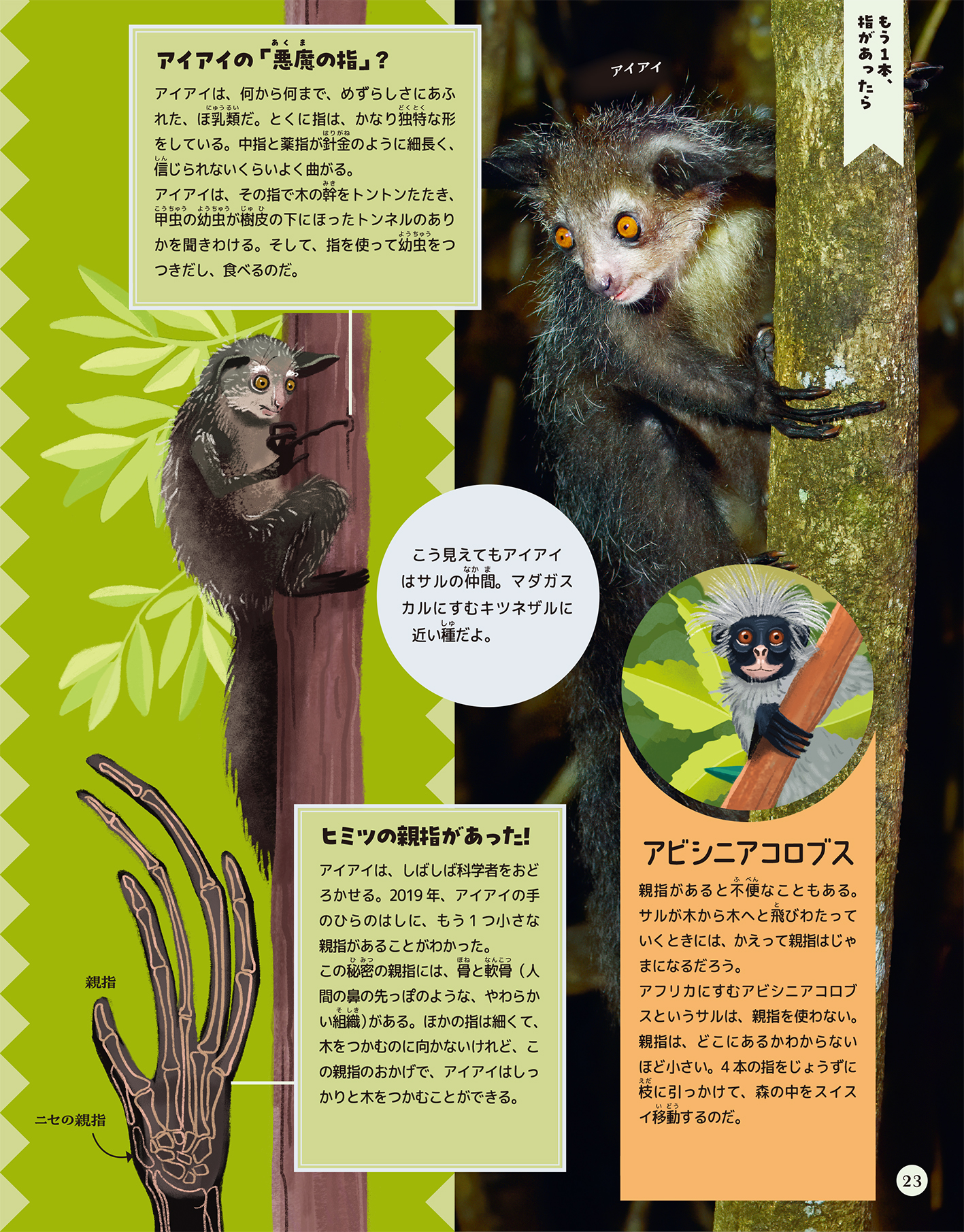 サムネイル画像2