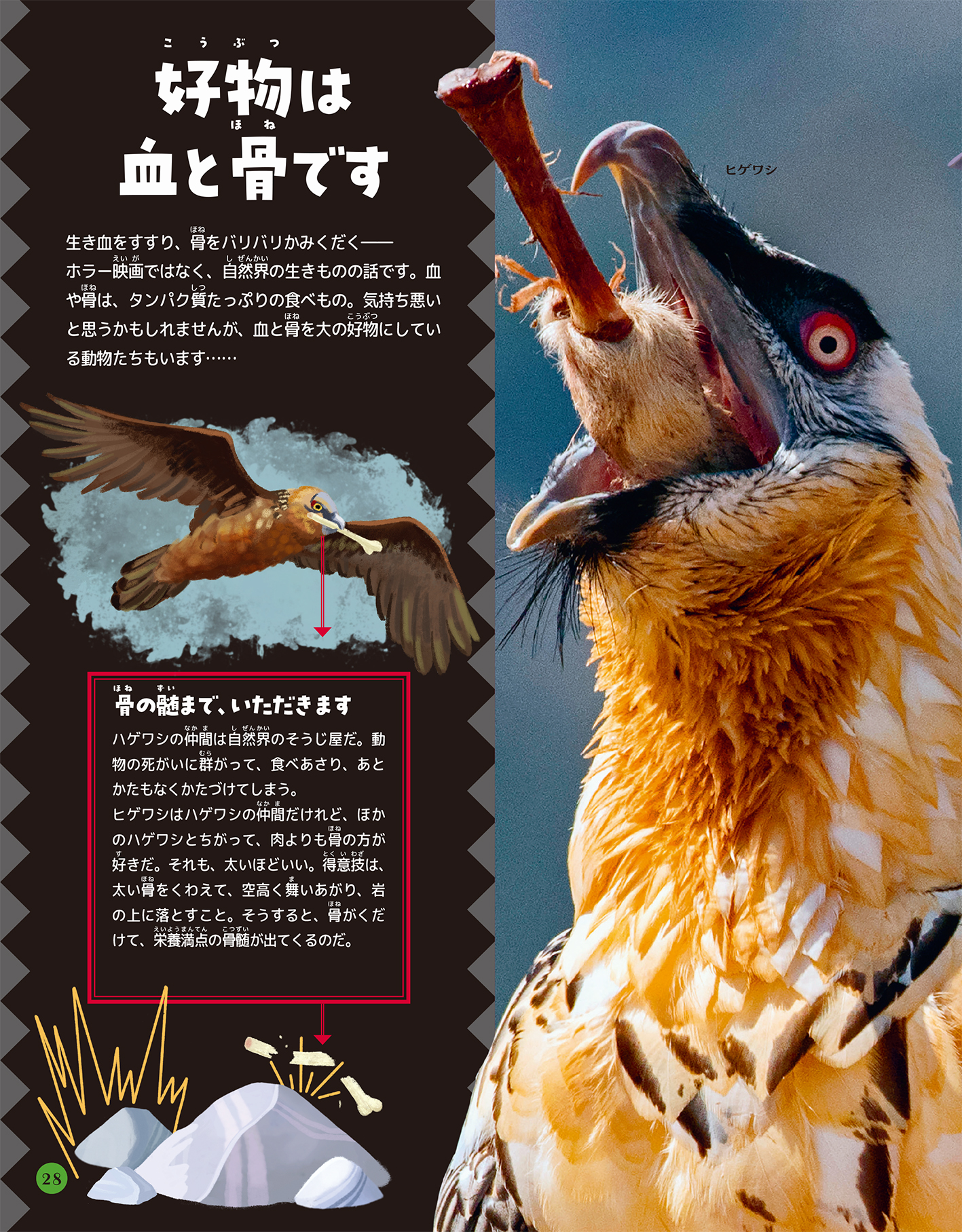 サムネイル画像3