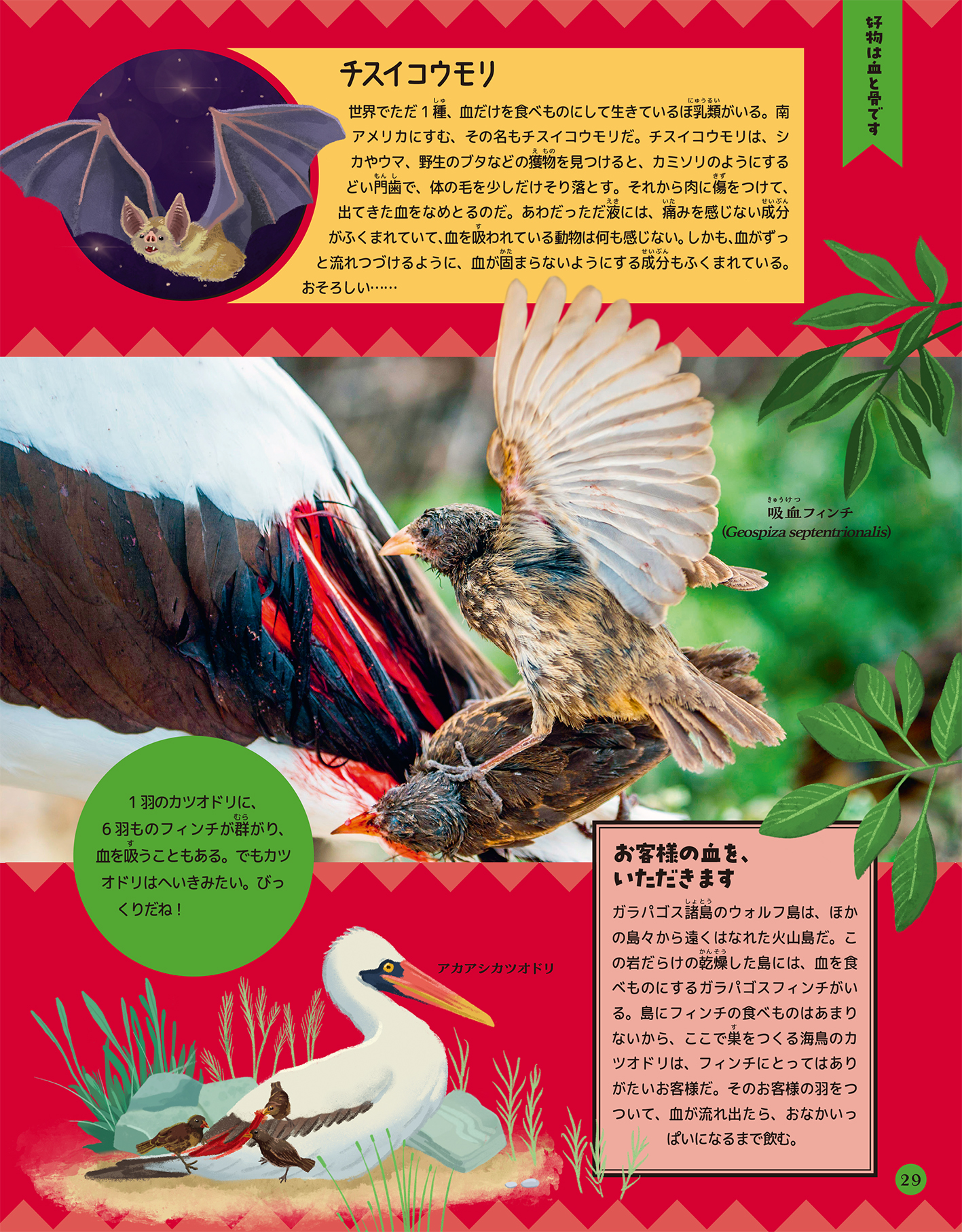 サムネイル画像4