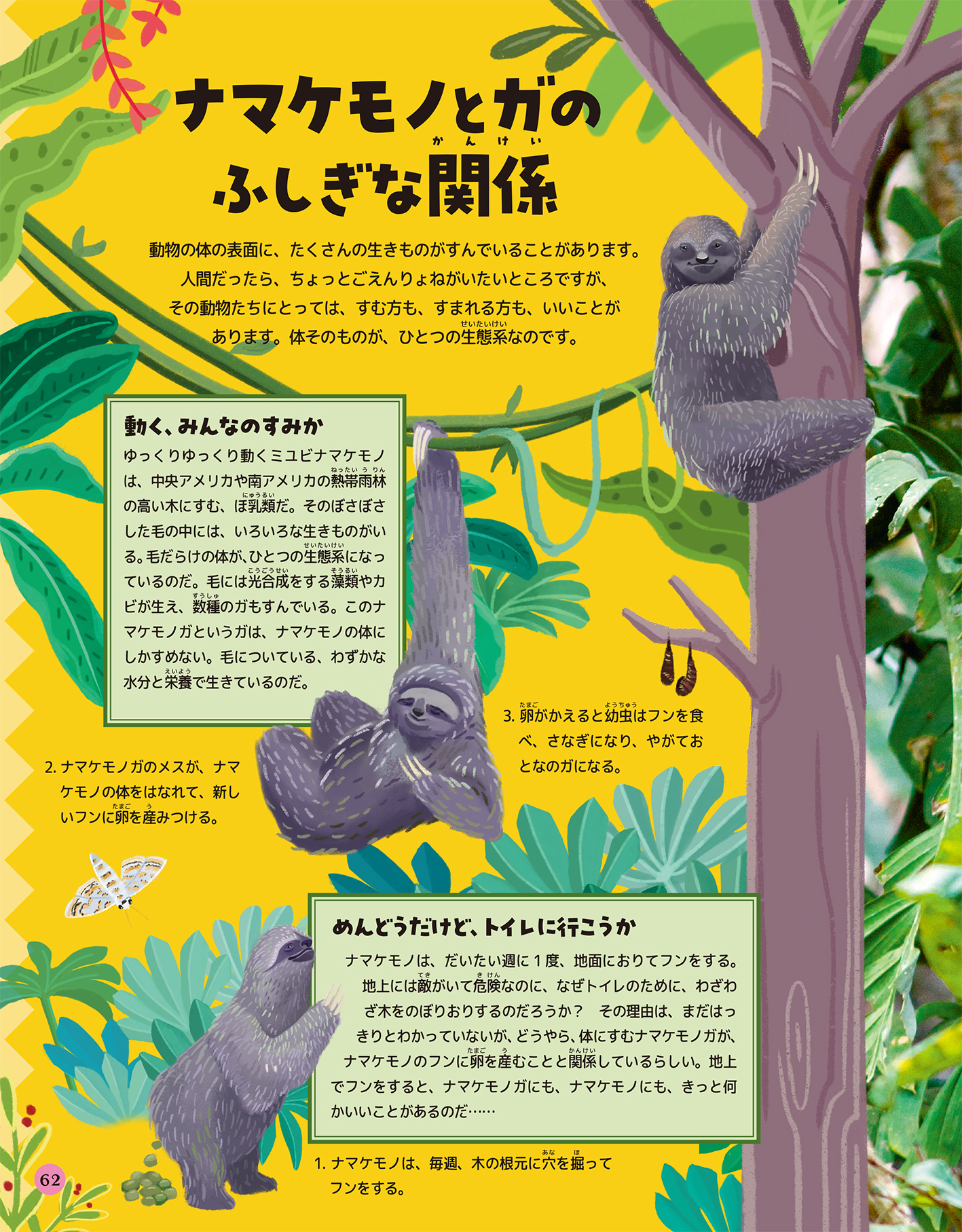 サムネイル画像5