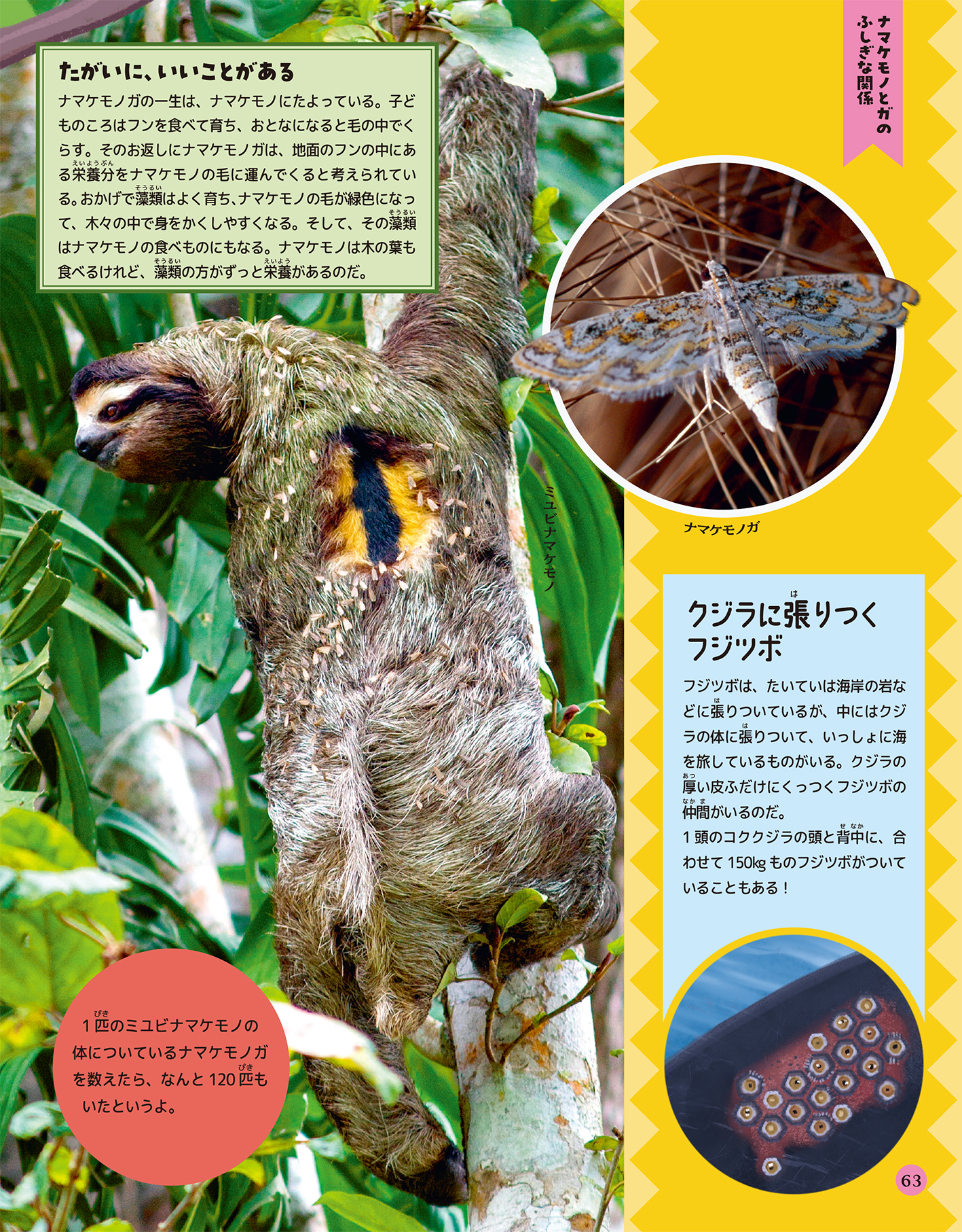 サムネイル画像6