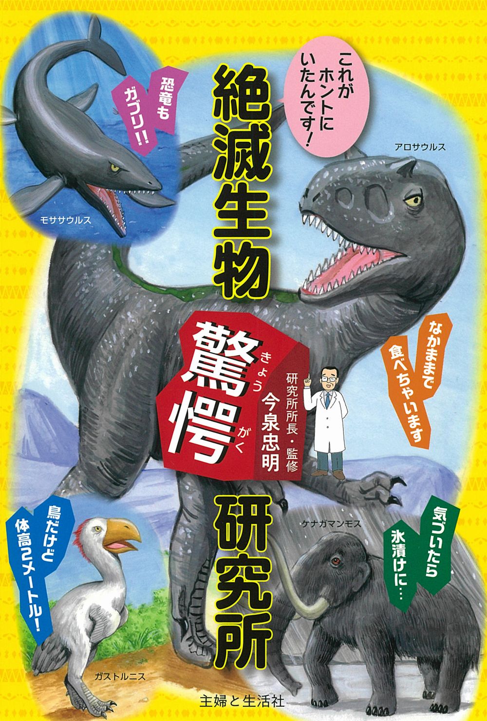メイン画像