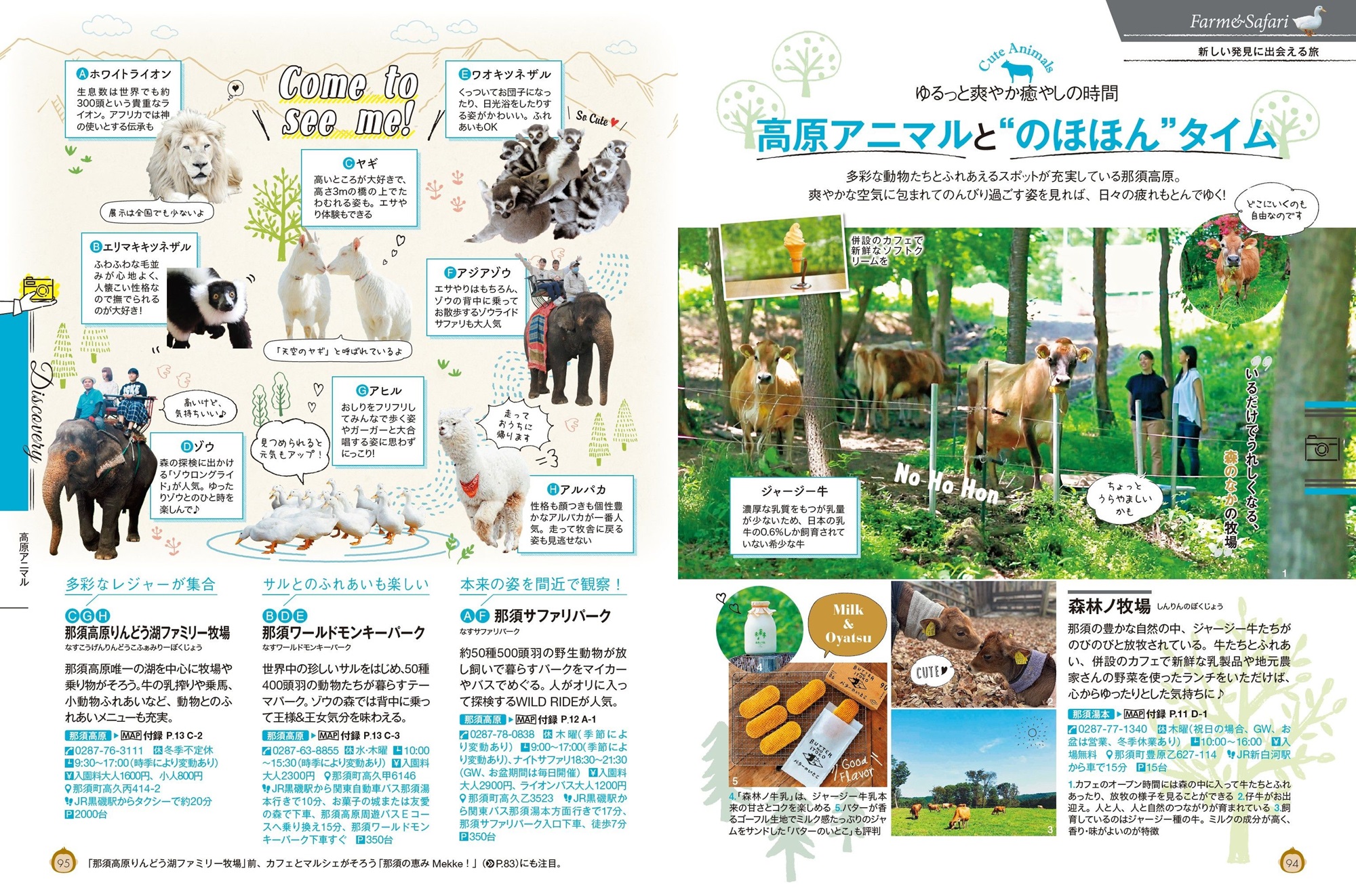 サムネイル画像4