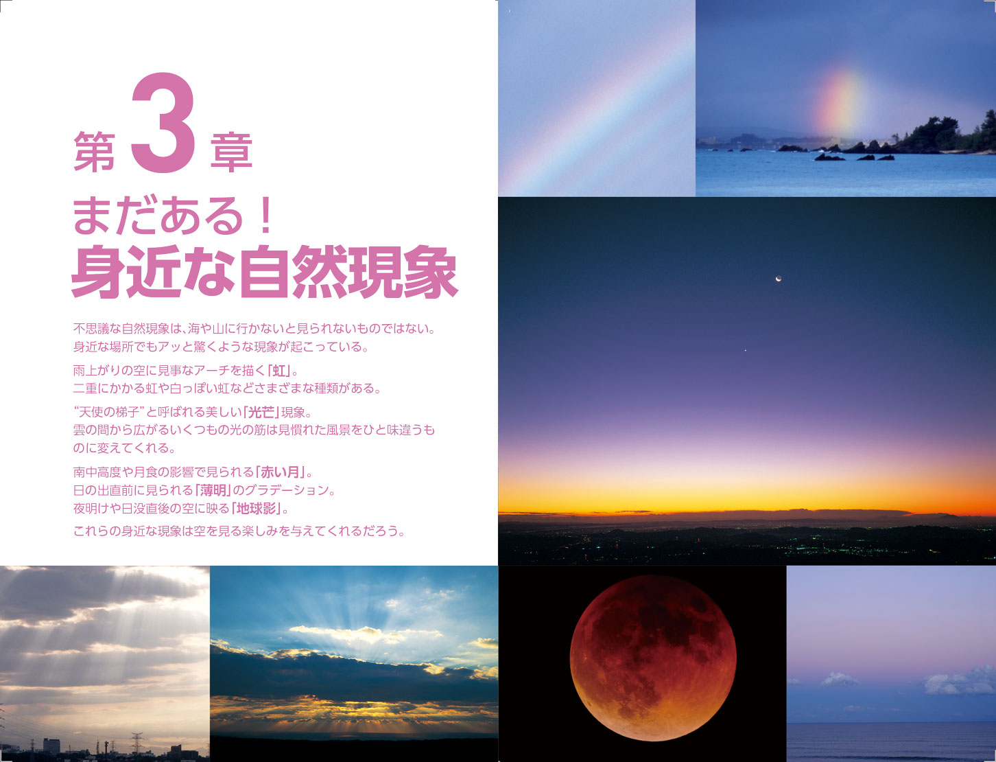 サムネイル画像5