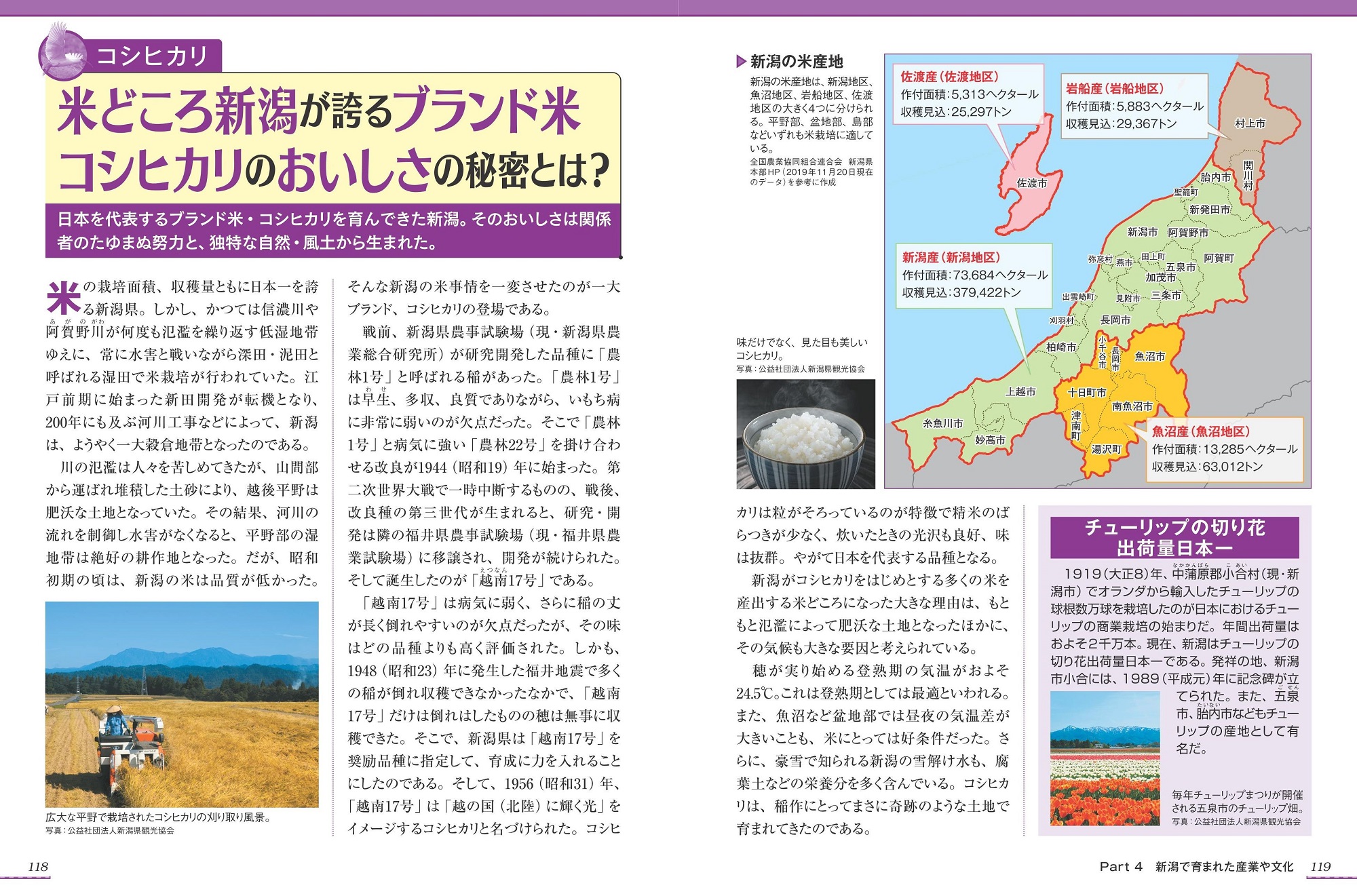 サムネイル画像5