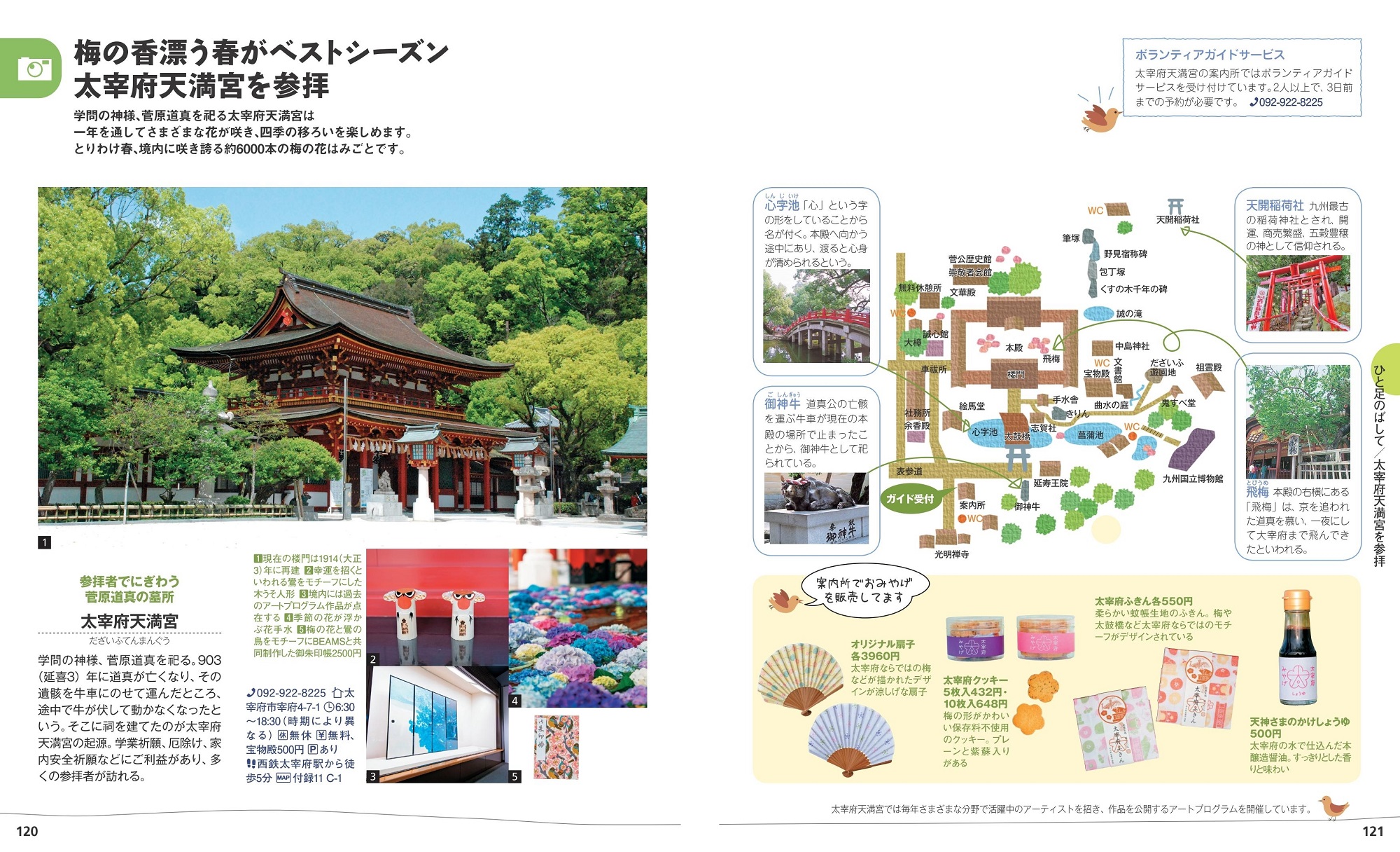 サムネイル画像5