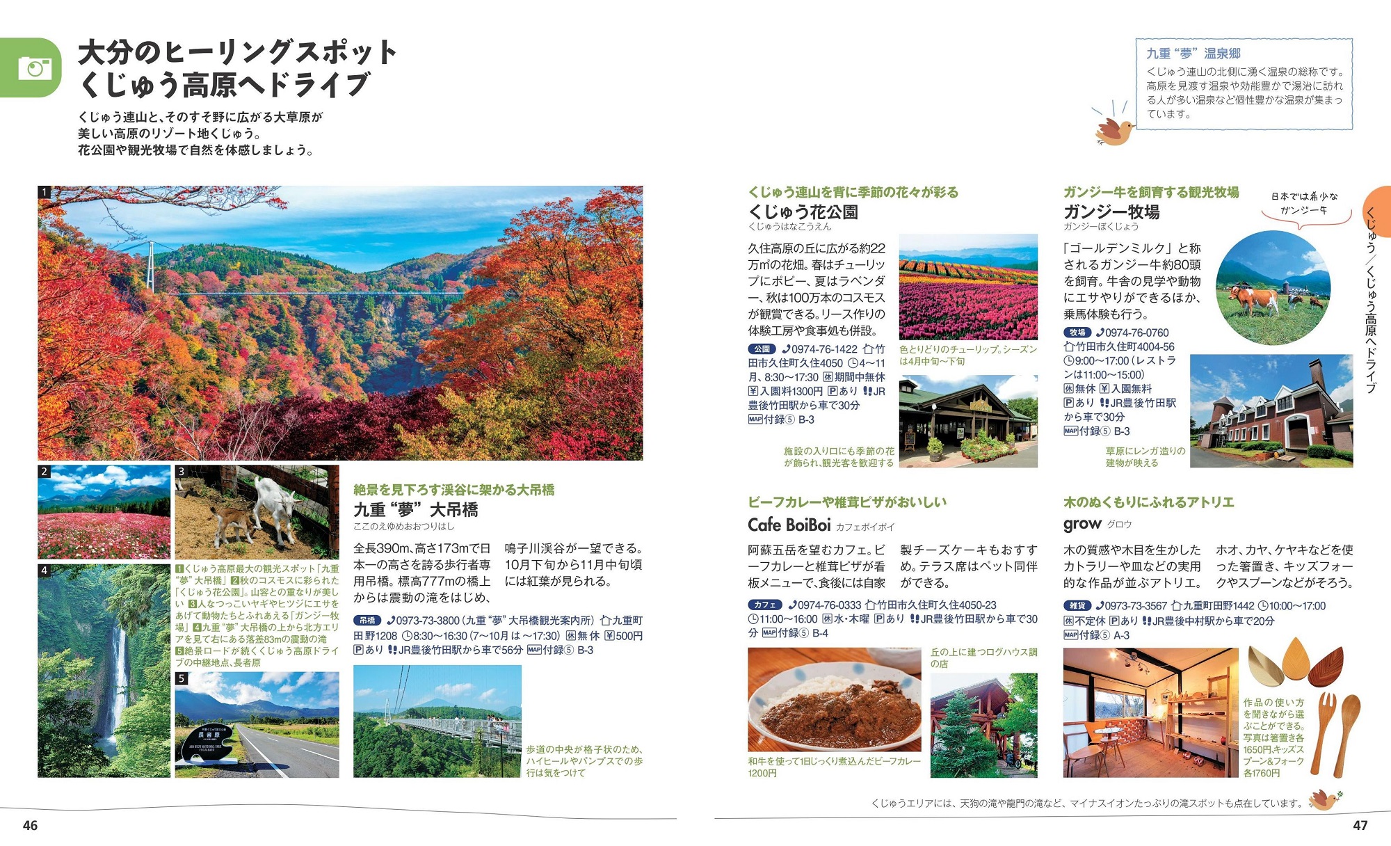 サムネイル画像5