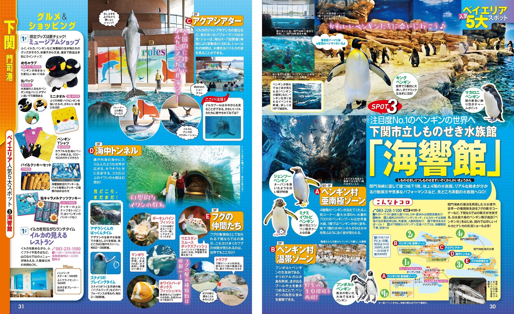サムネイル画像4