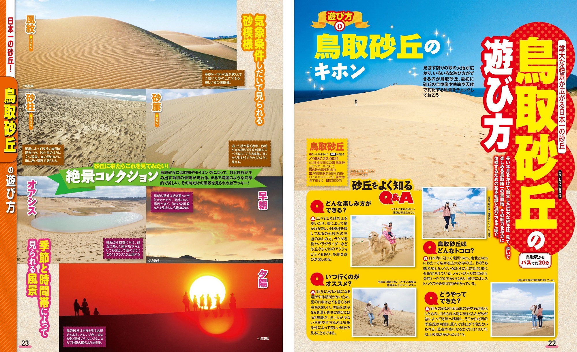 サムネイル画像4