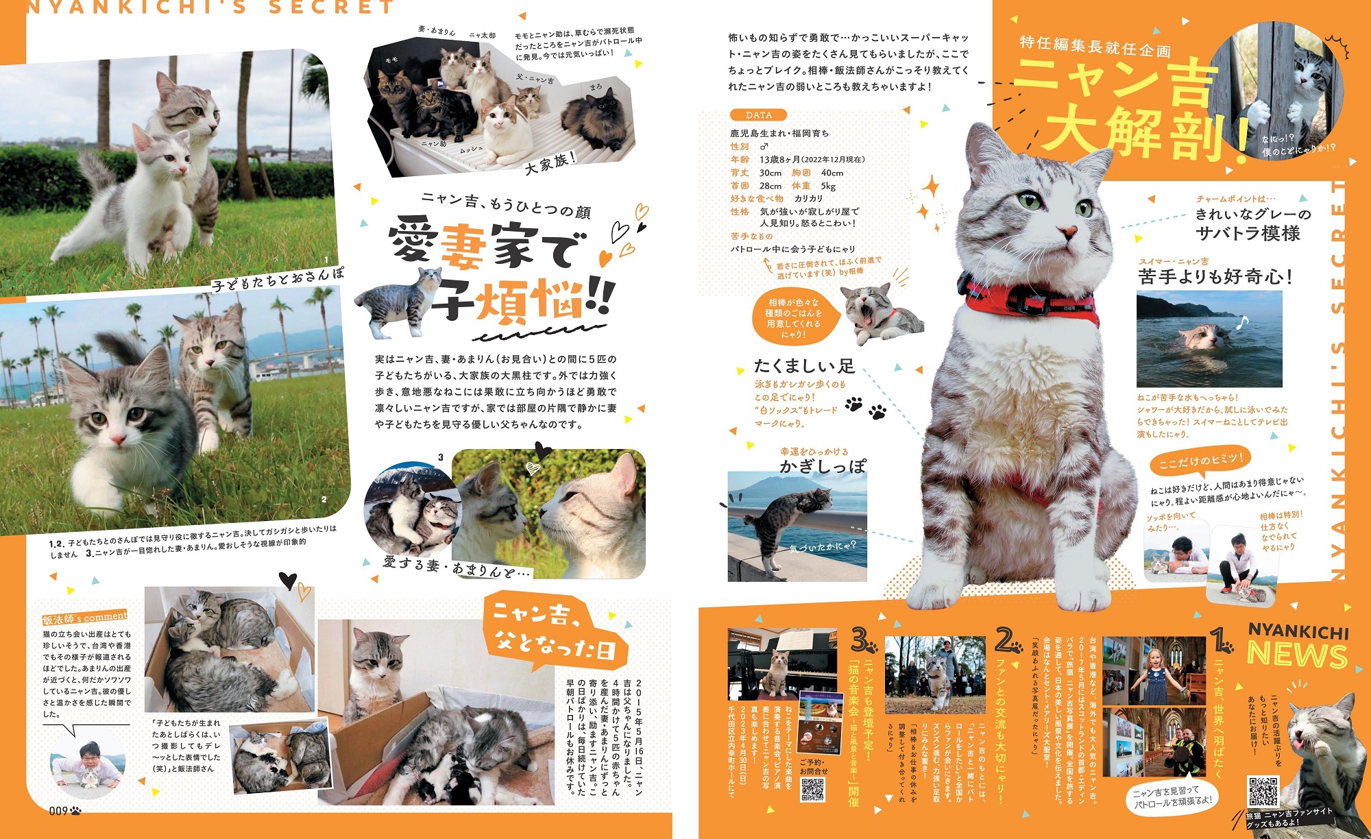 サムネイル画像2