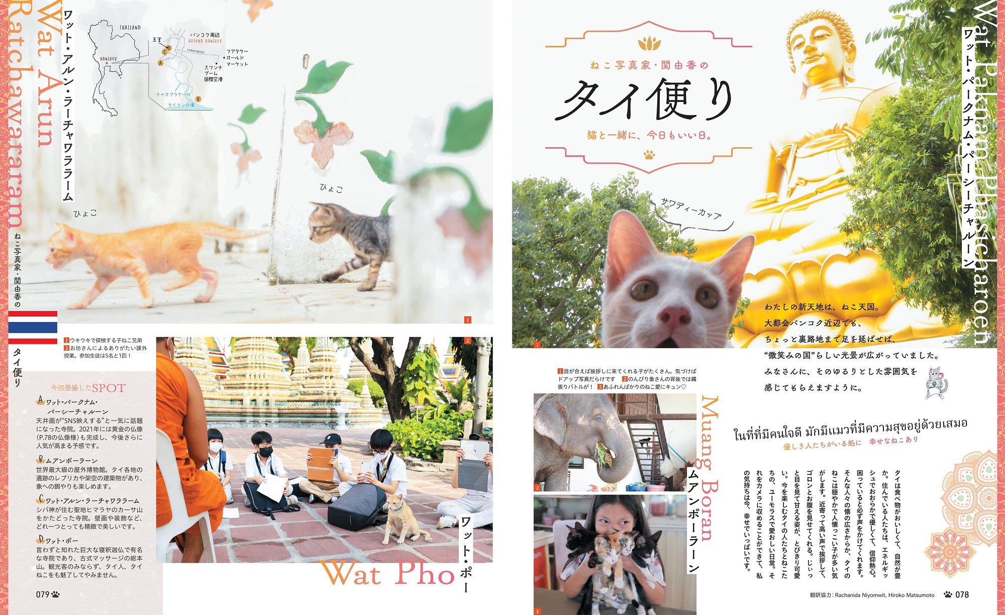 サムネイル画像5