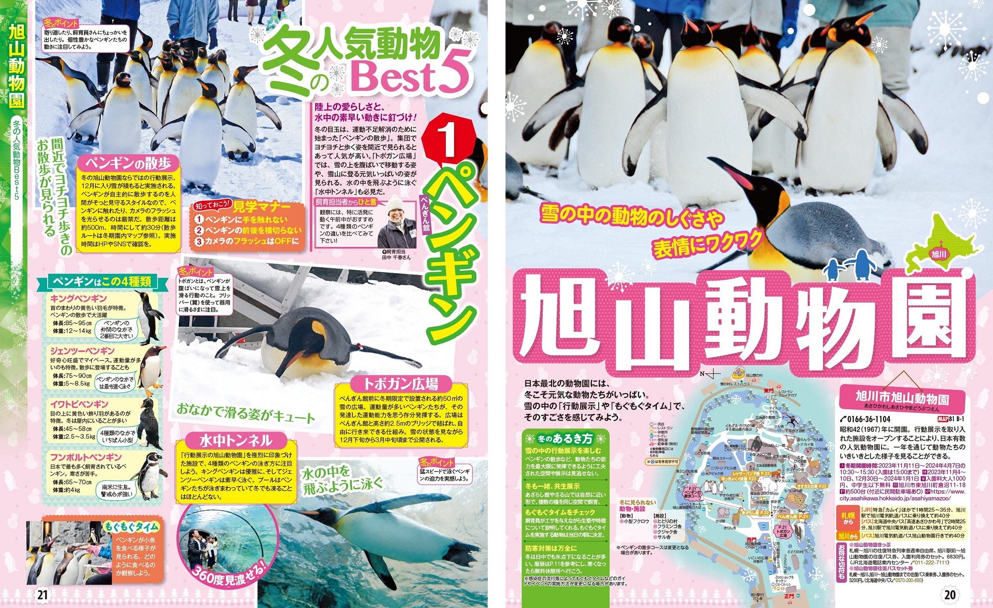 サムネイル画像3