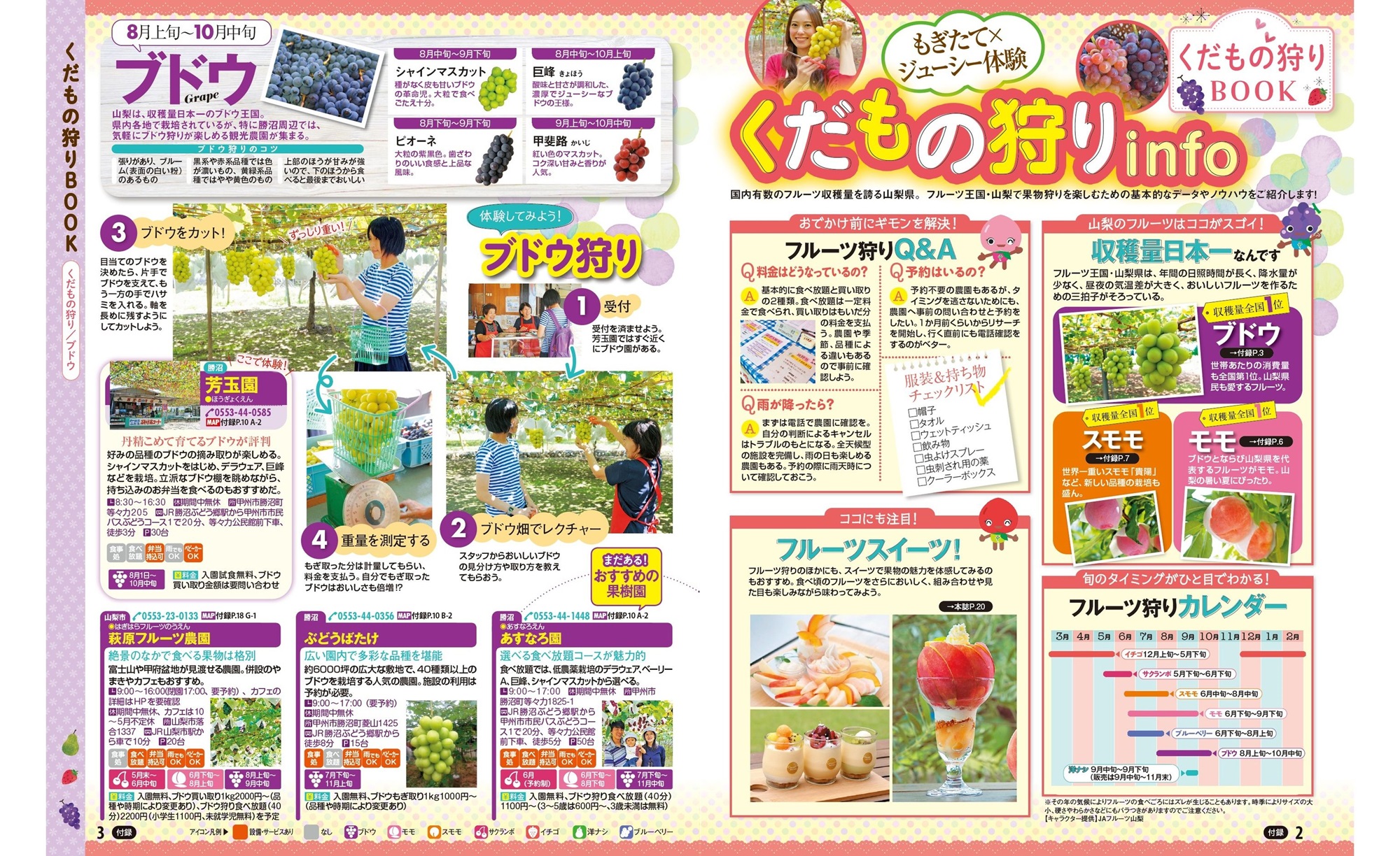 サムネイル画像5