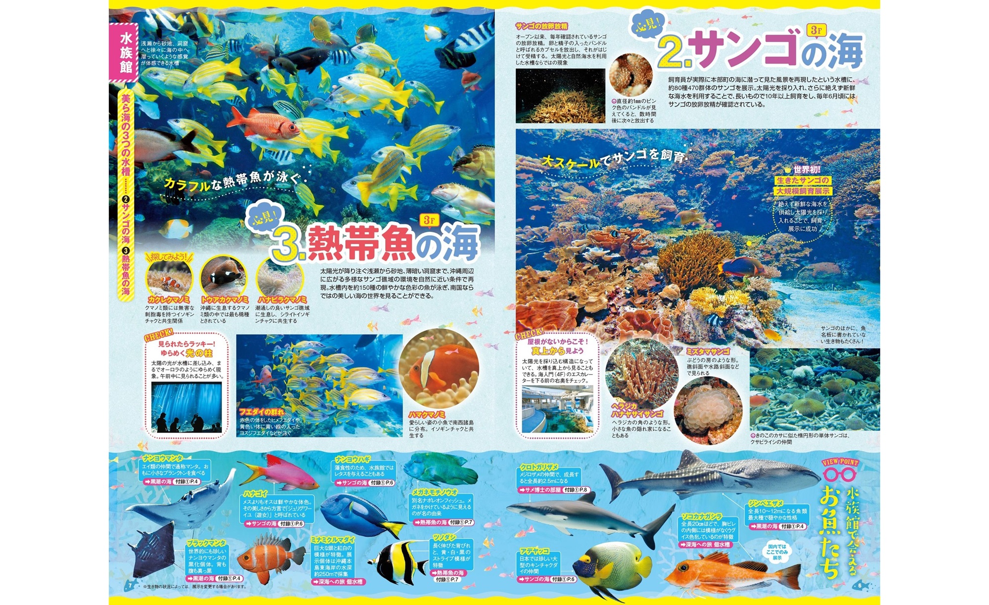 サムネイル画像4