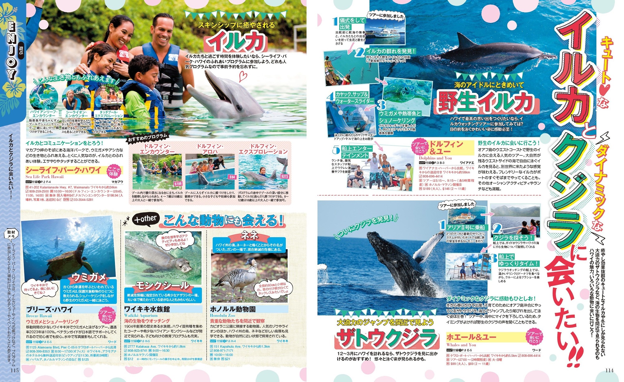 サムネイル画像4