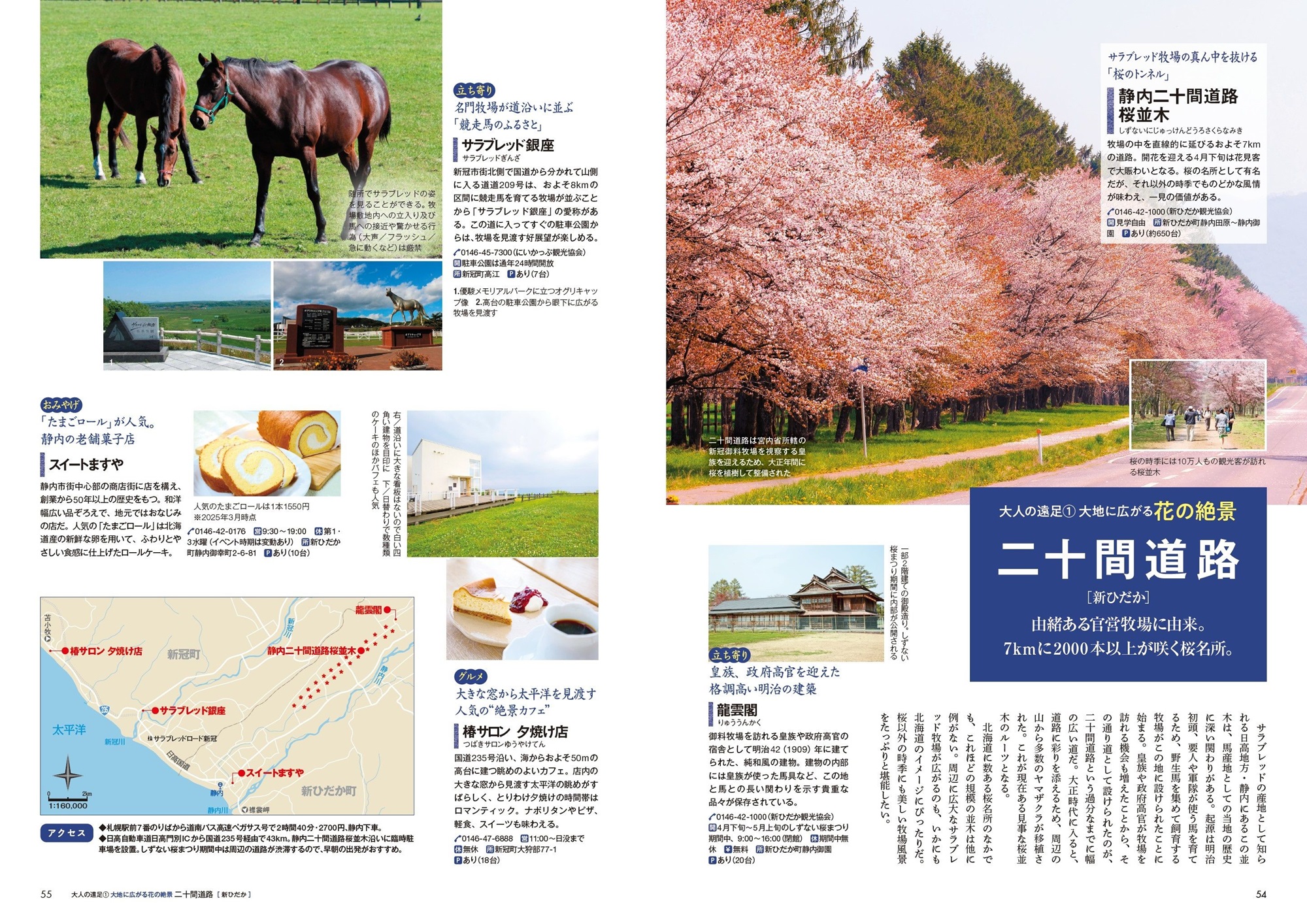 サムネイル画像4