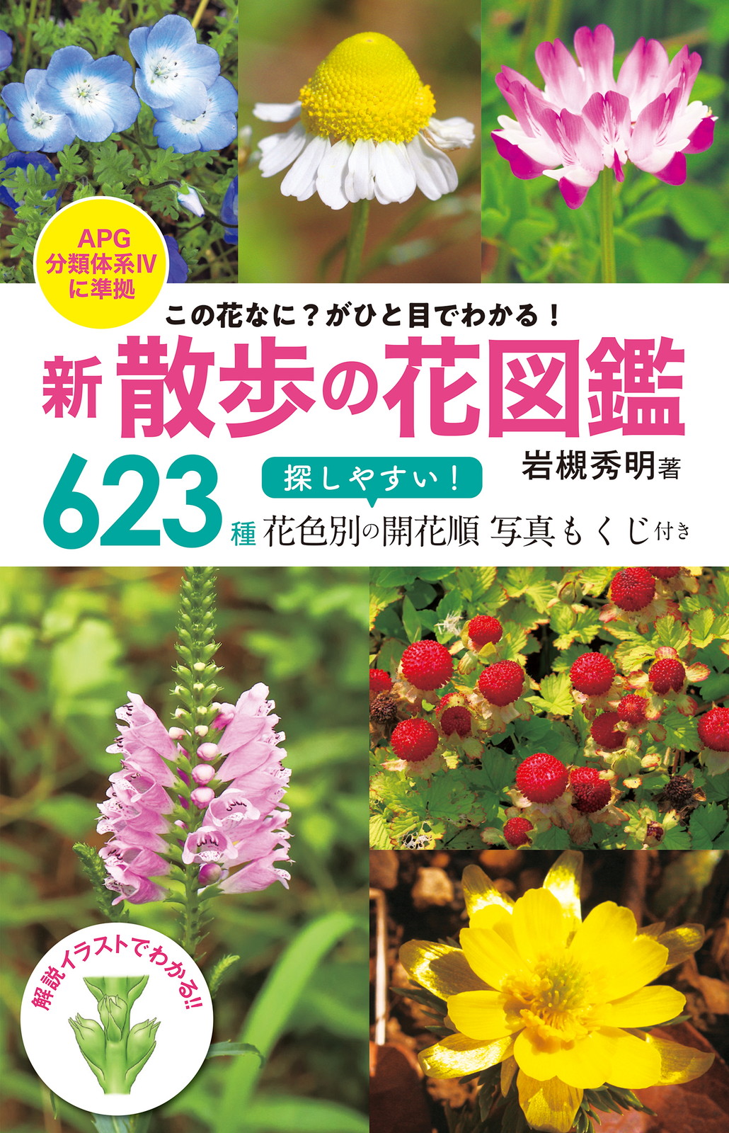 メイン画像