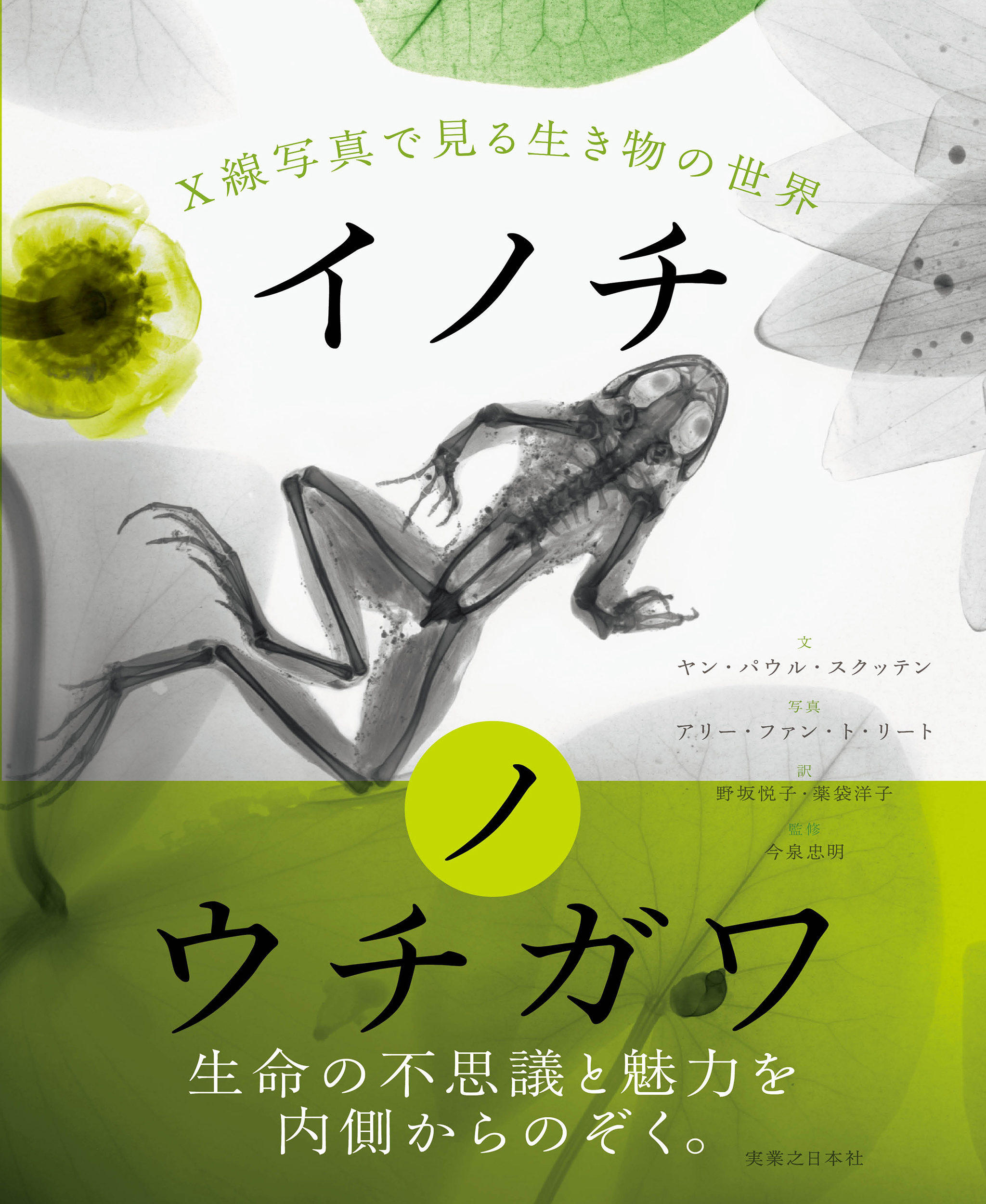 メイン画像