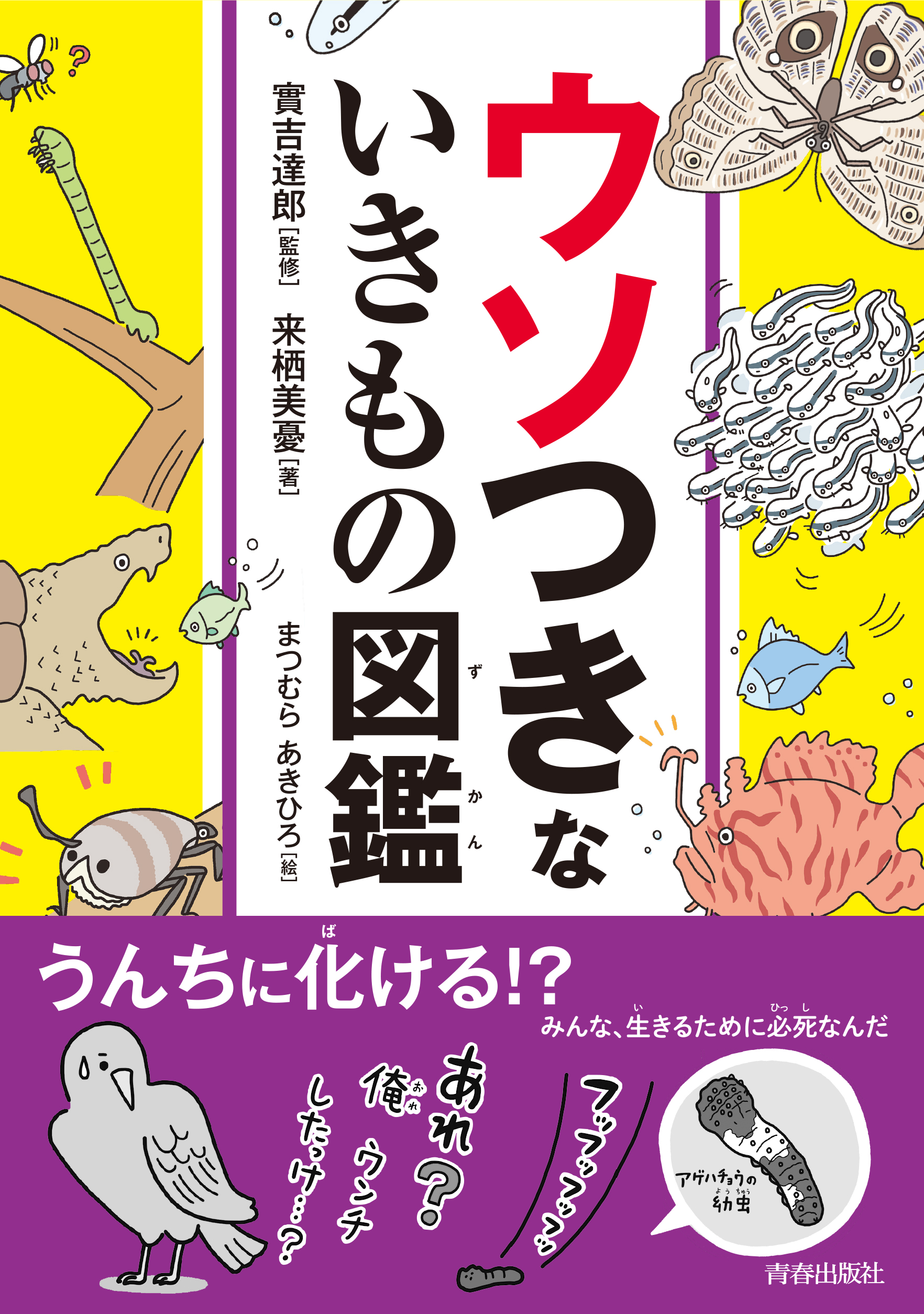 メイン画像