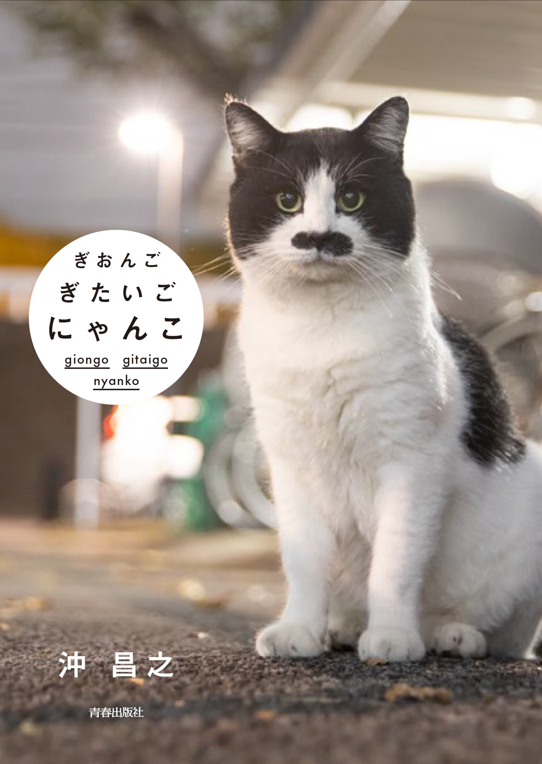 サムネイル画像1