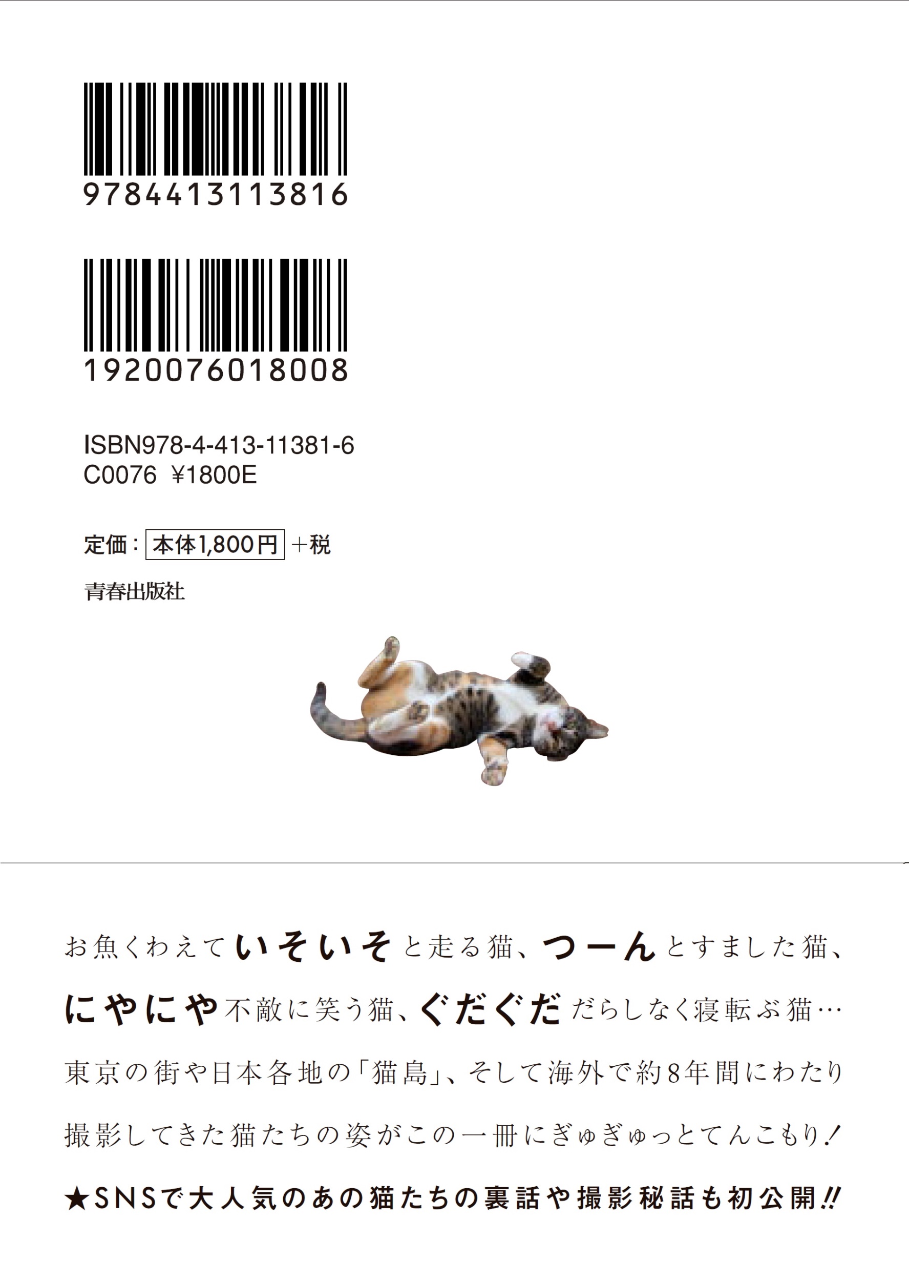 サムネイル画像2