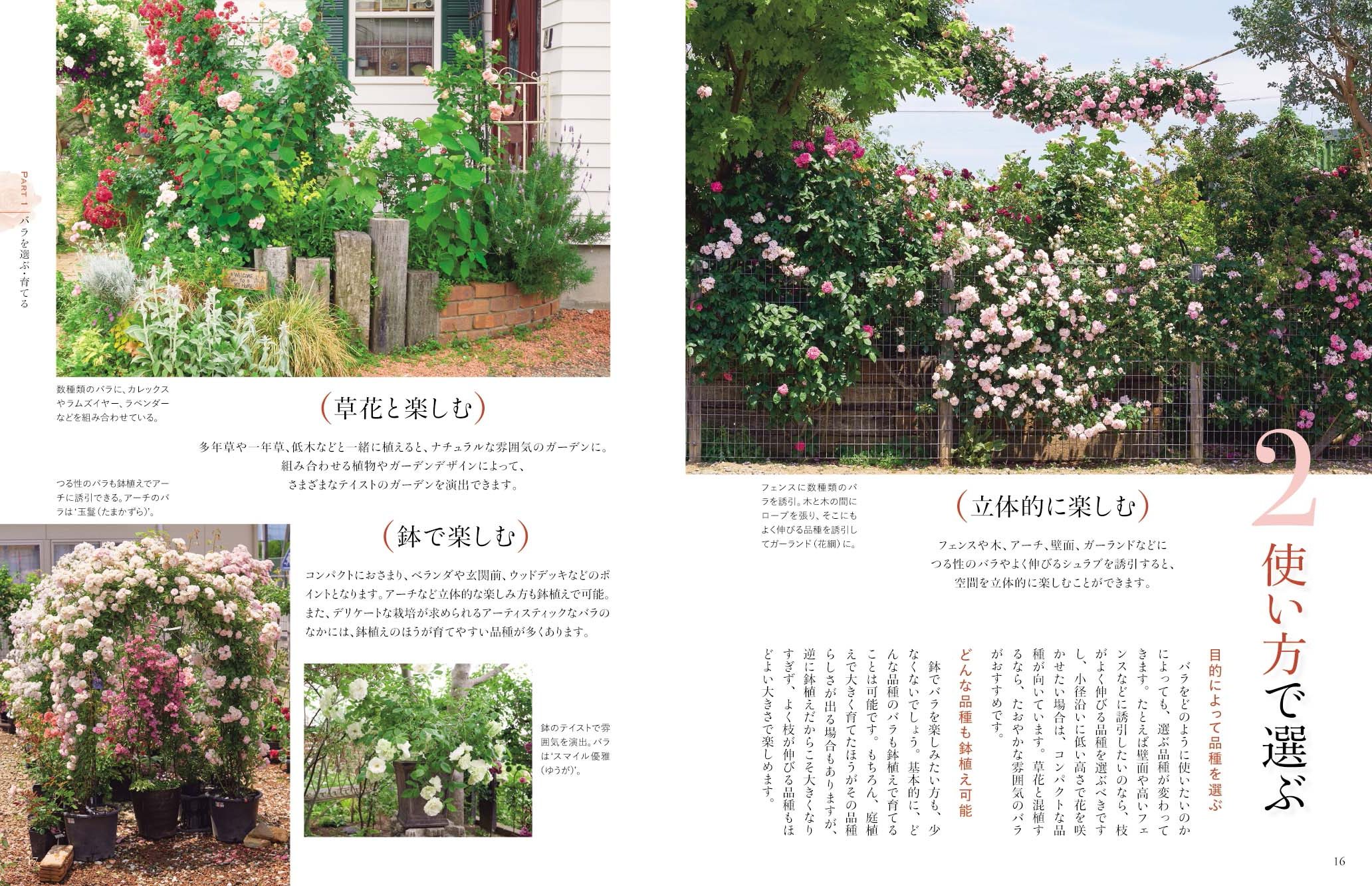 サムネイル画像2