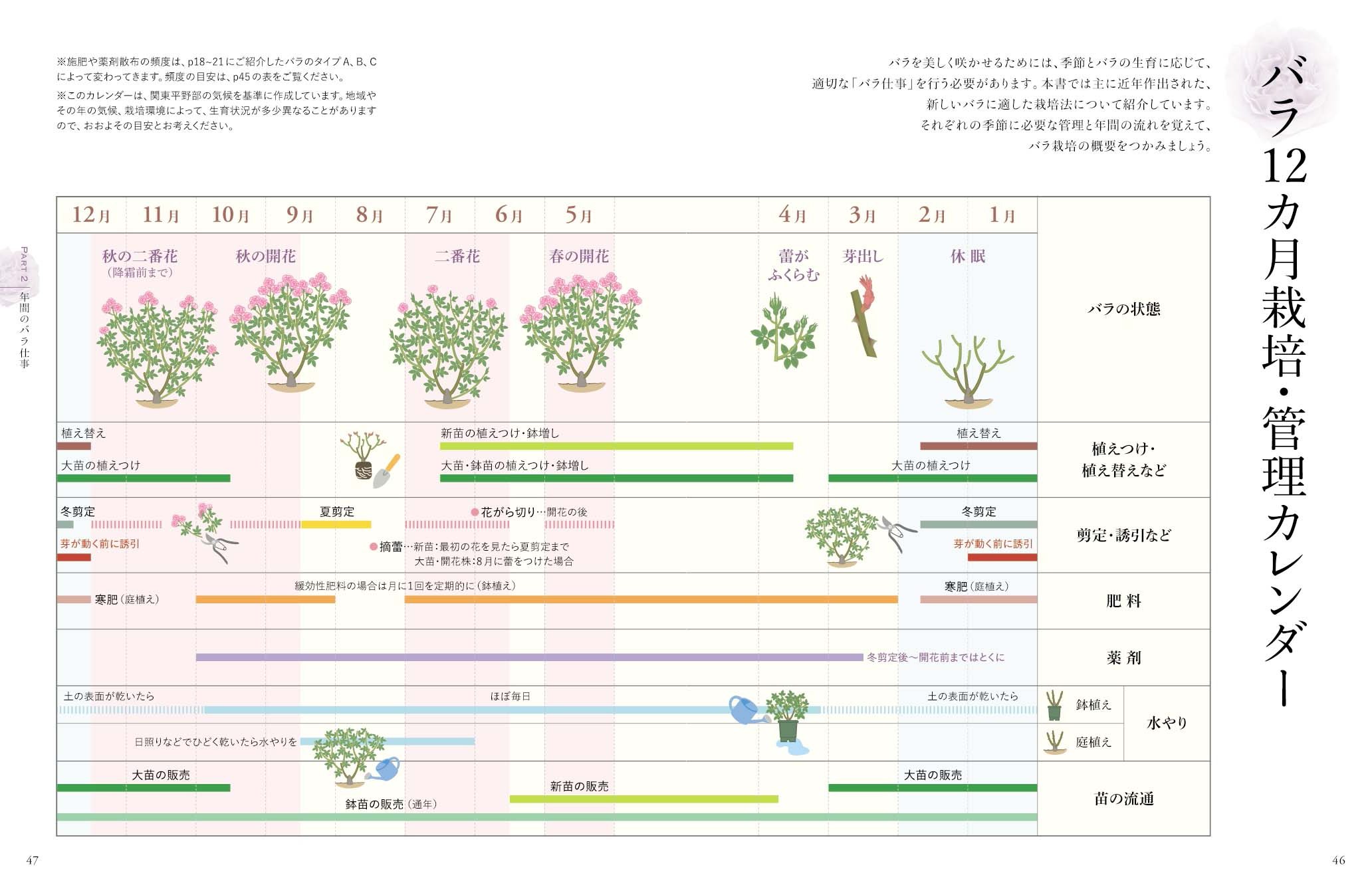 サムネイル画像3