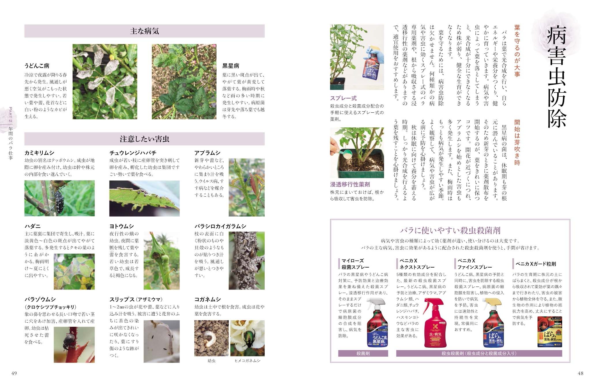 サムネイル画像4