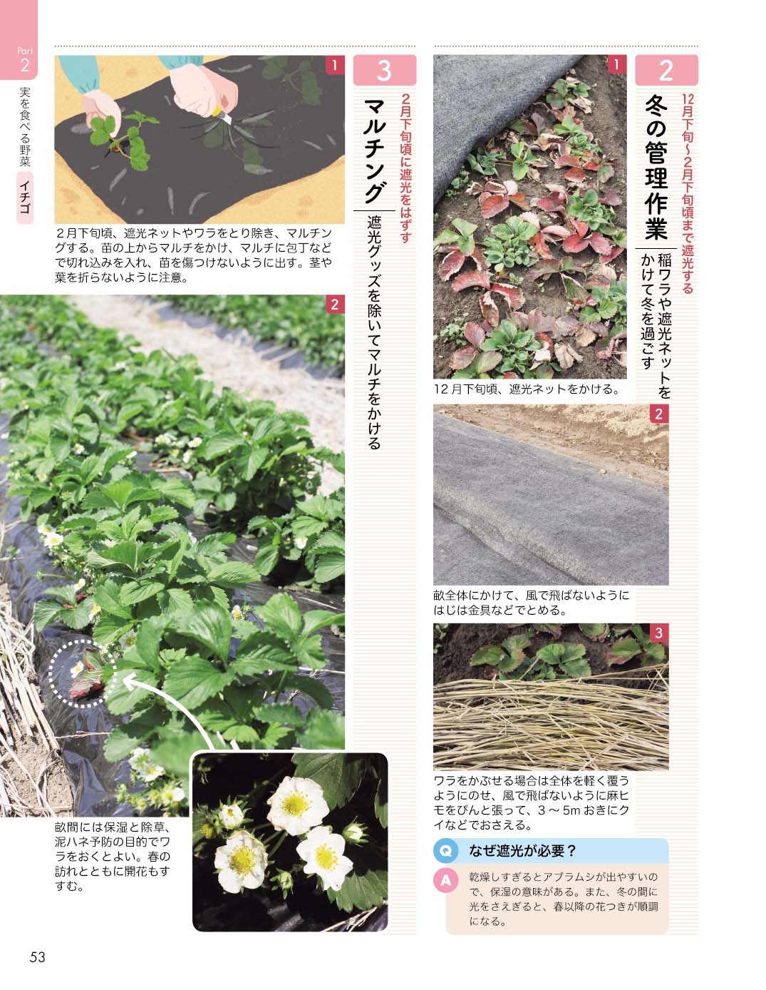 サムネイル画像4