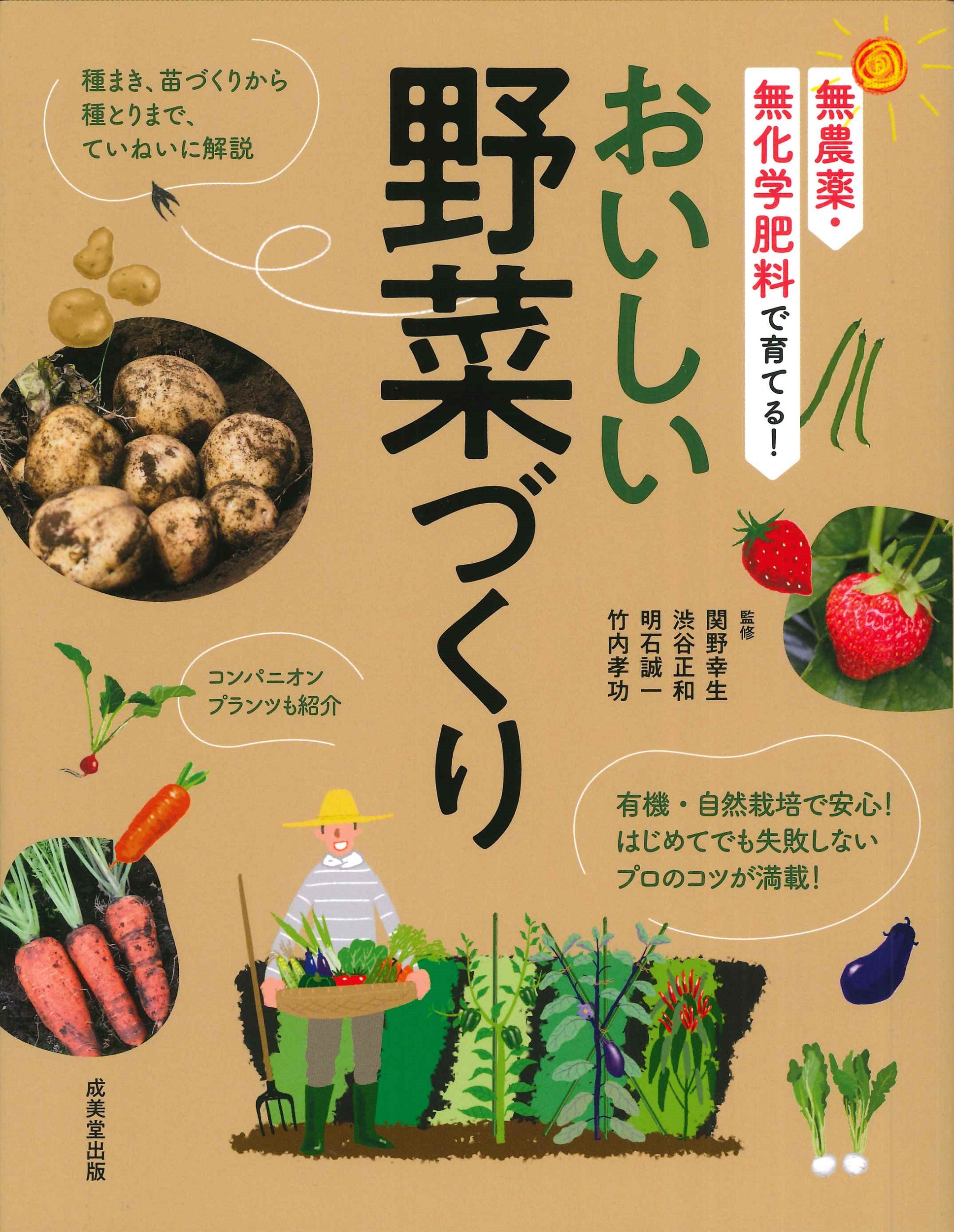 メイン画像