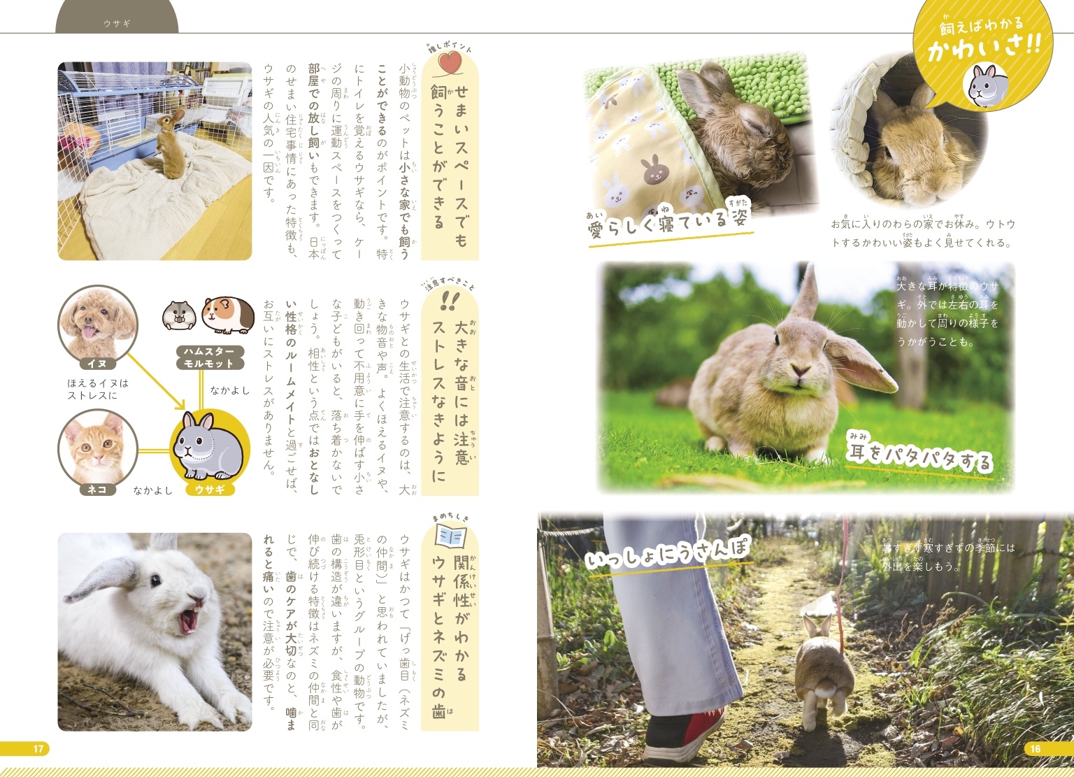 サムネイル画像3