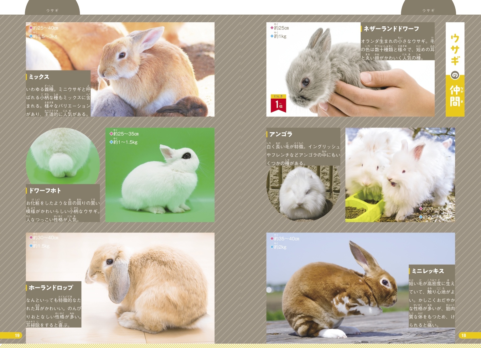 サムネイル画像4