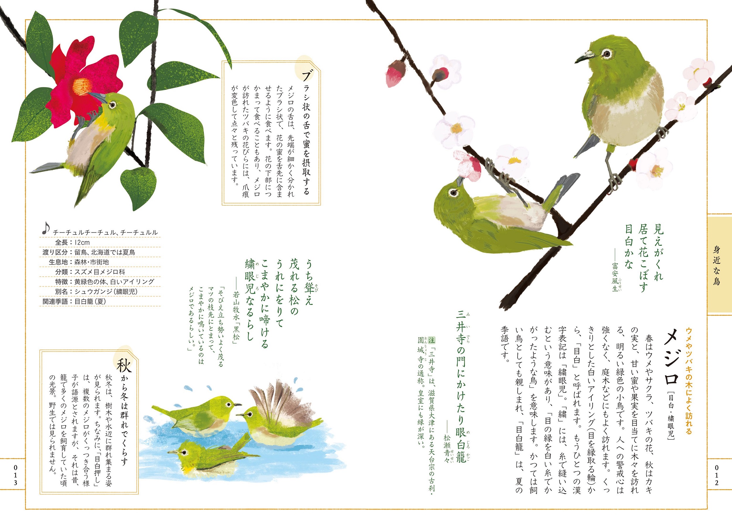 サムネイル画像2