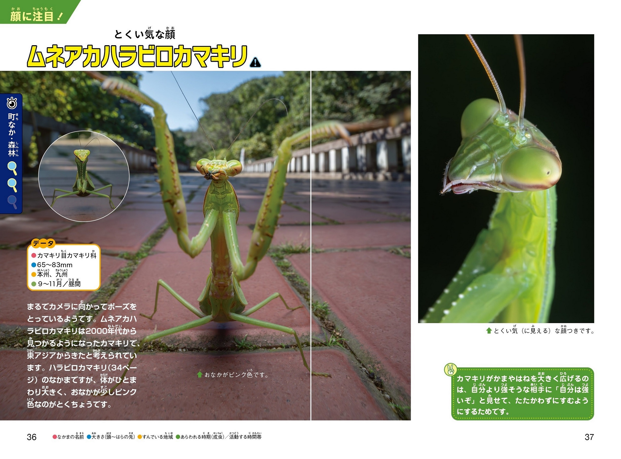 サムネイル画像1