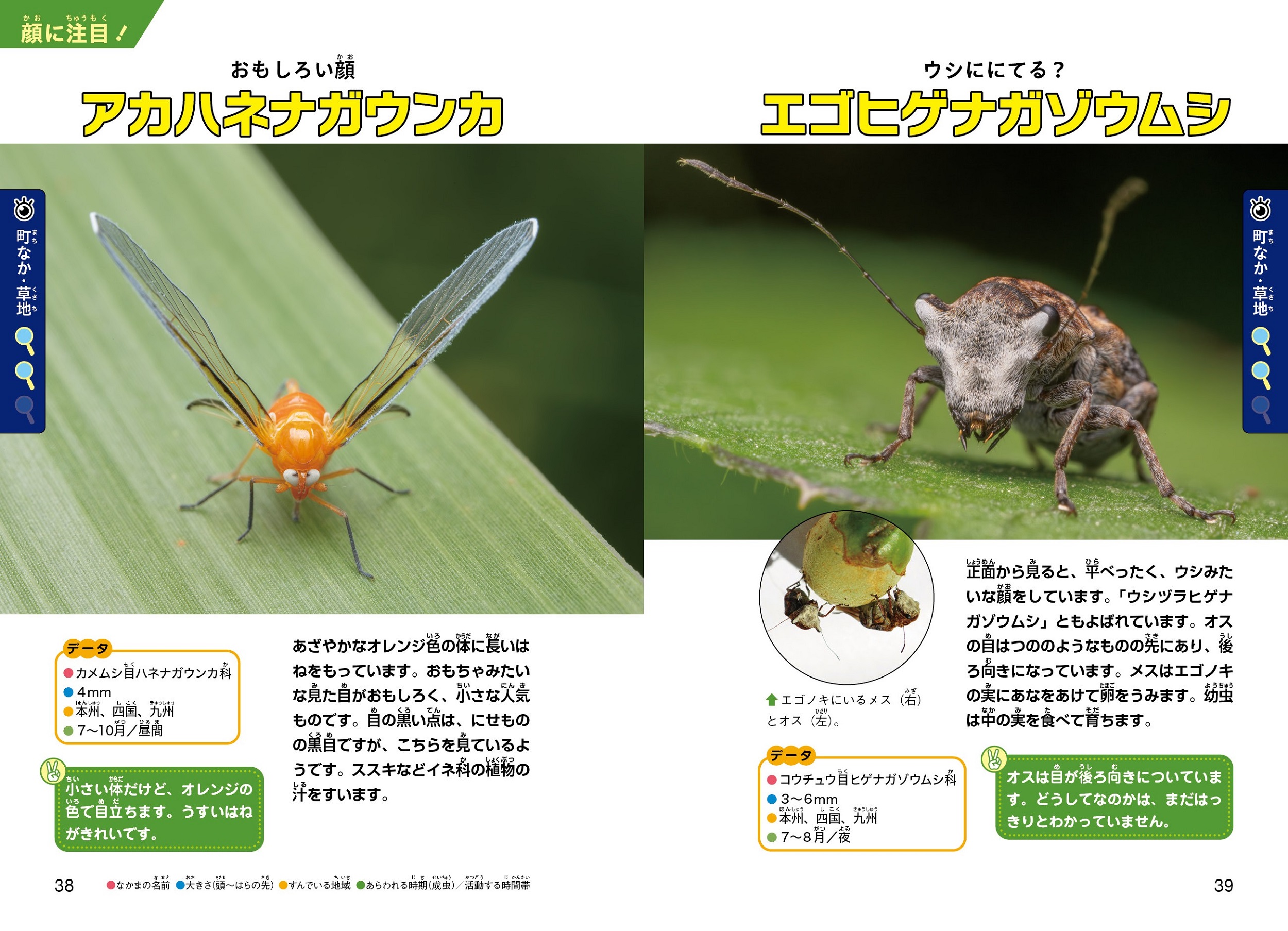 サムネイル画像2
