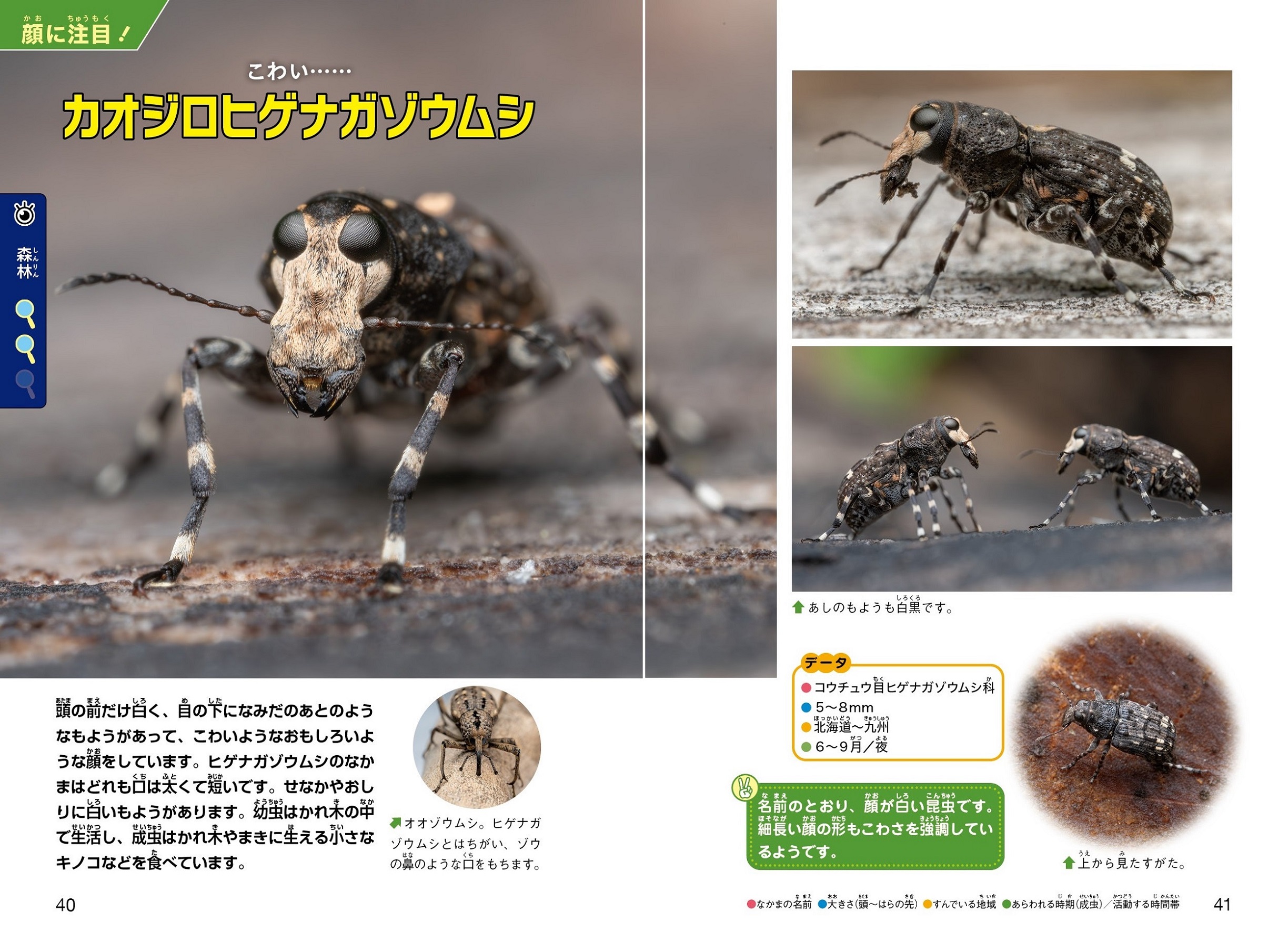 サムネイル画像3