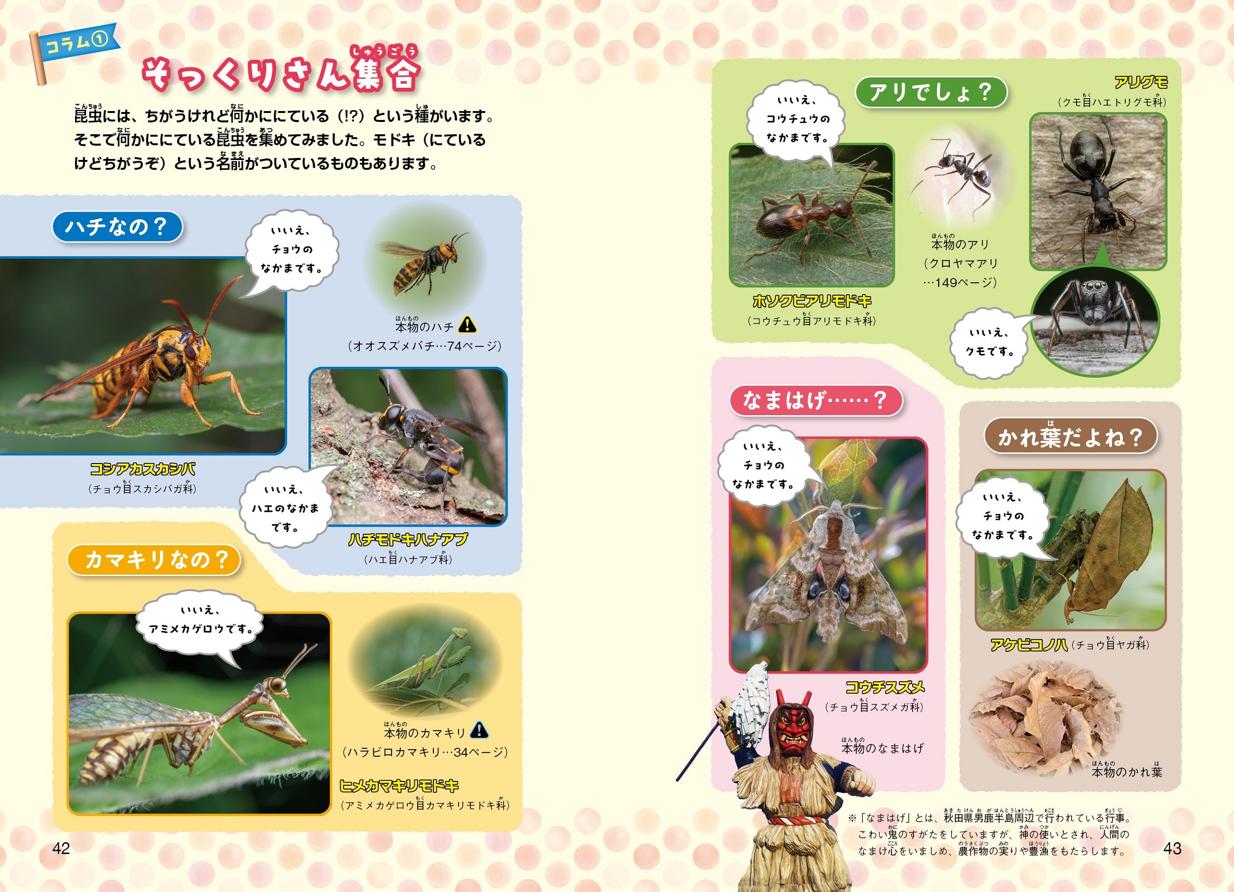 サムネイル画像4