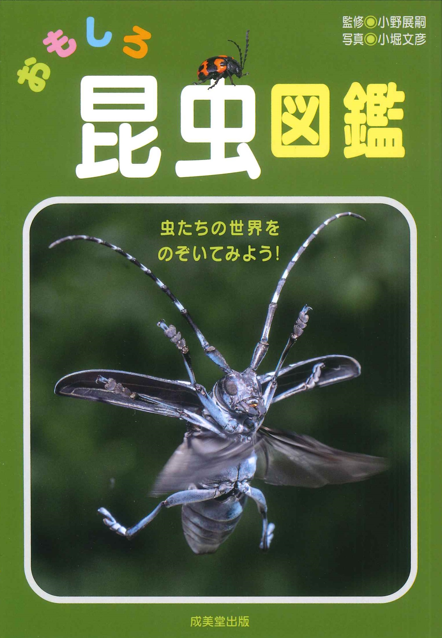 メイン画像