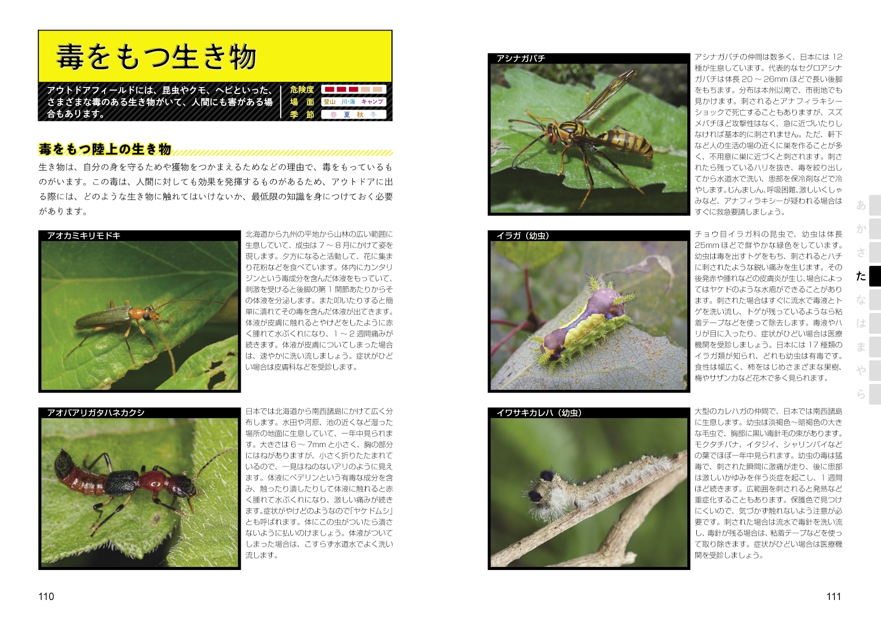 サムネイル画像4