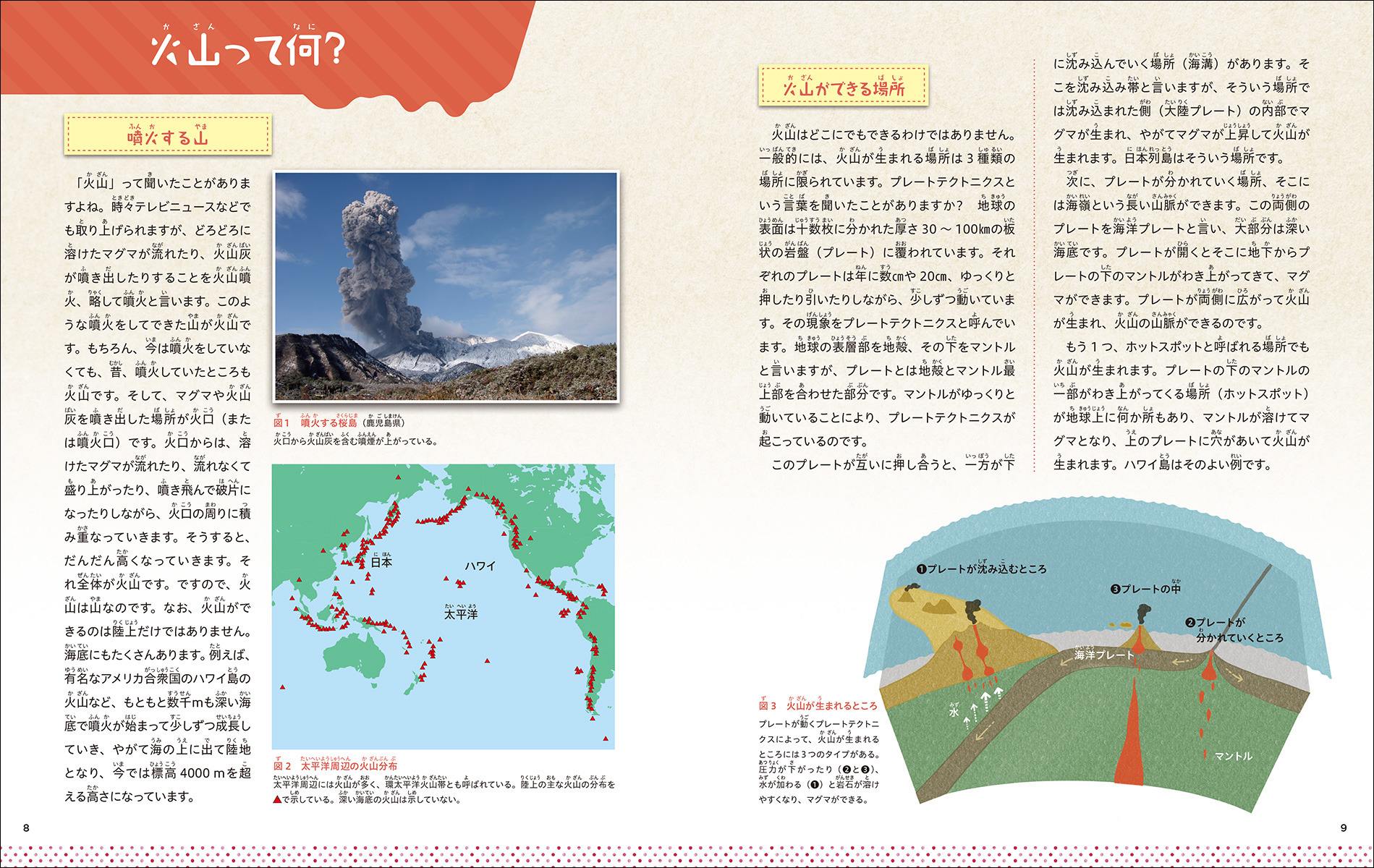 サムネイル画像5