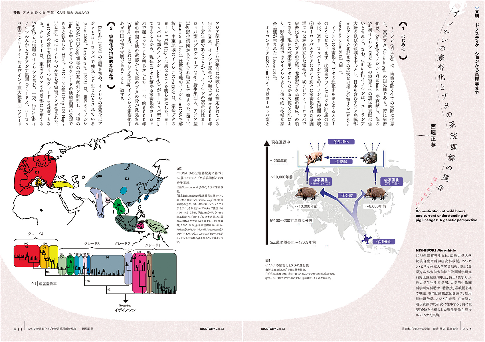 サムネイル画像6