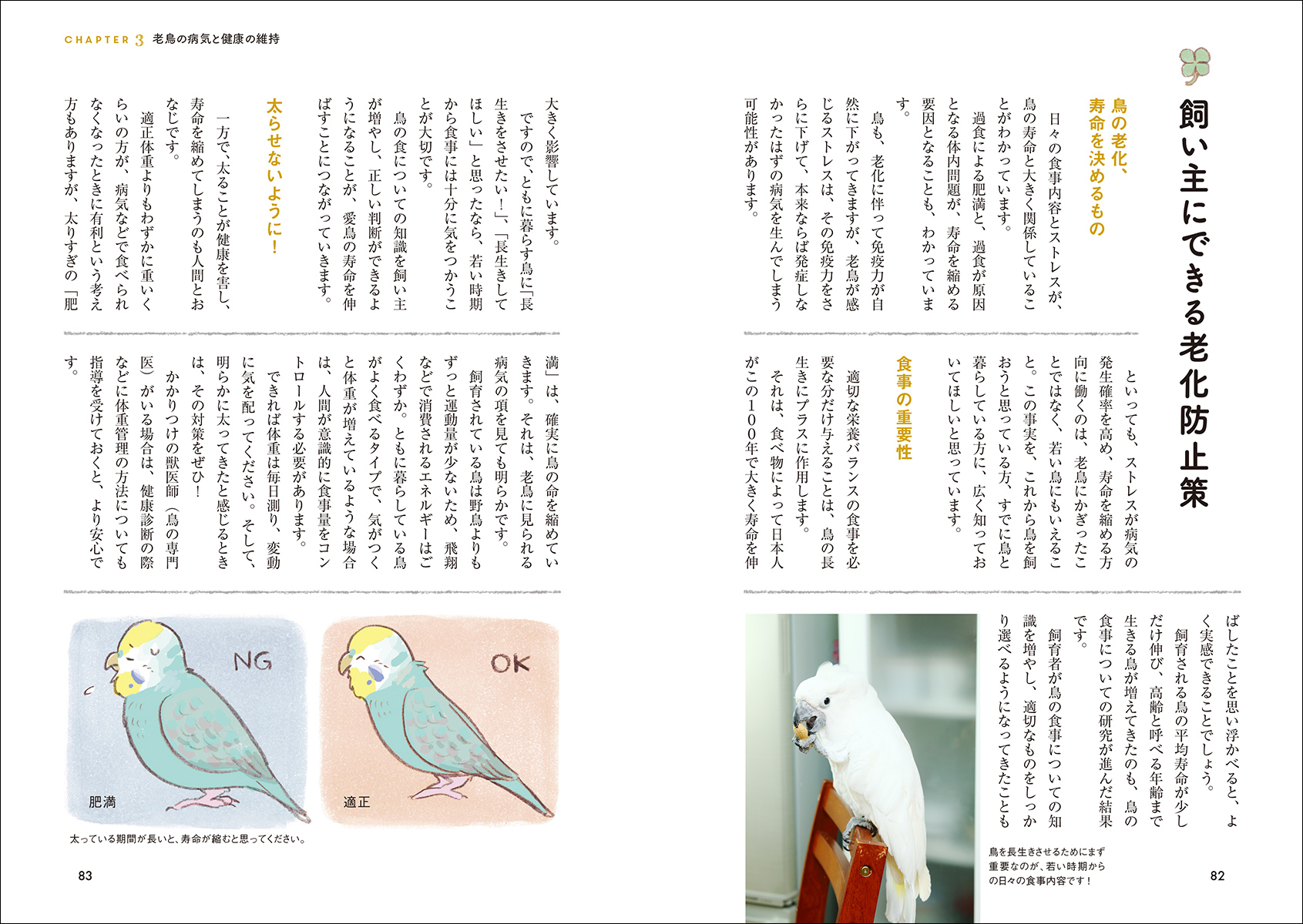 サムネイル画像5