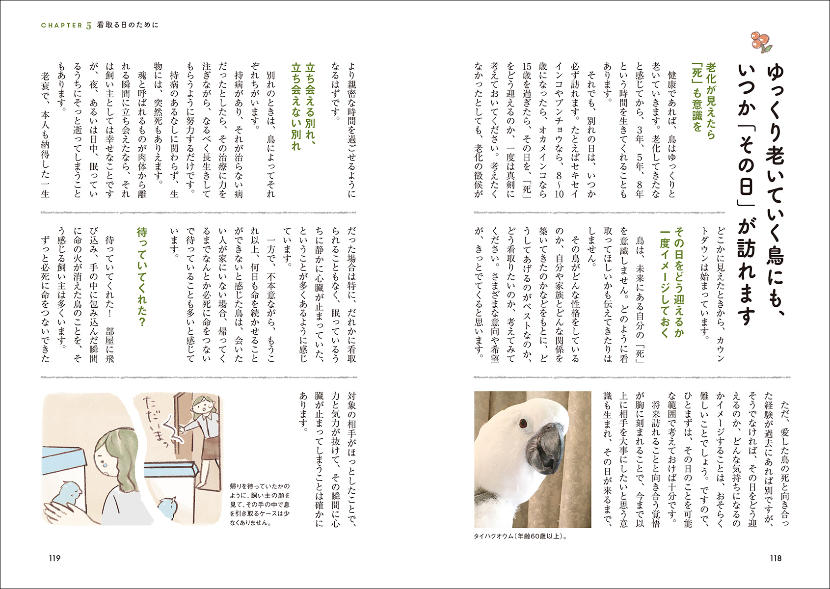 サムネイル画像6