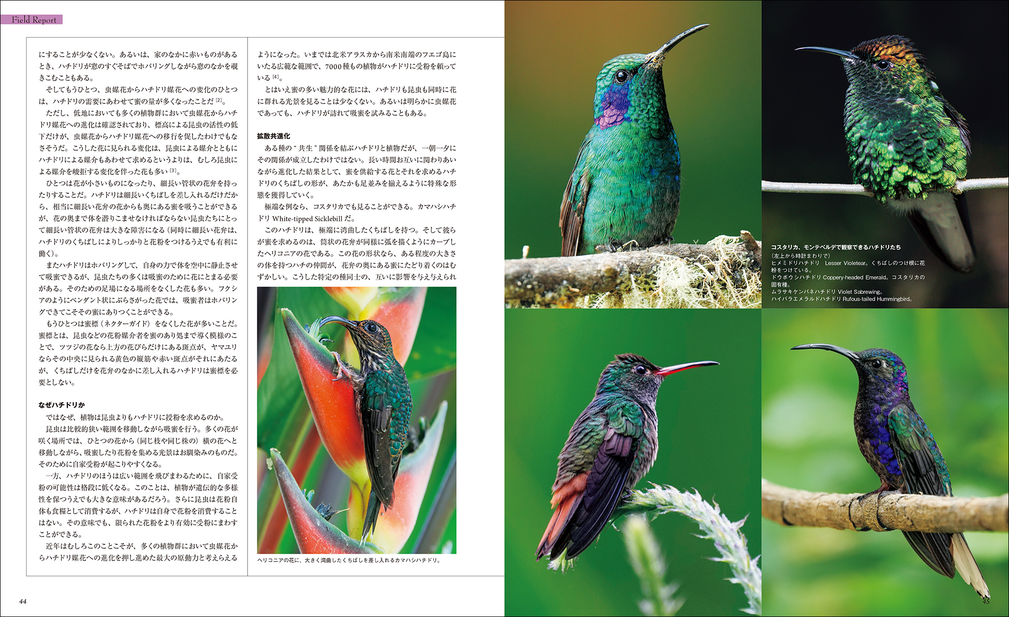 サムネイル画像4