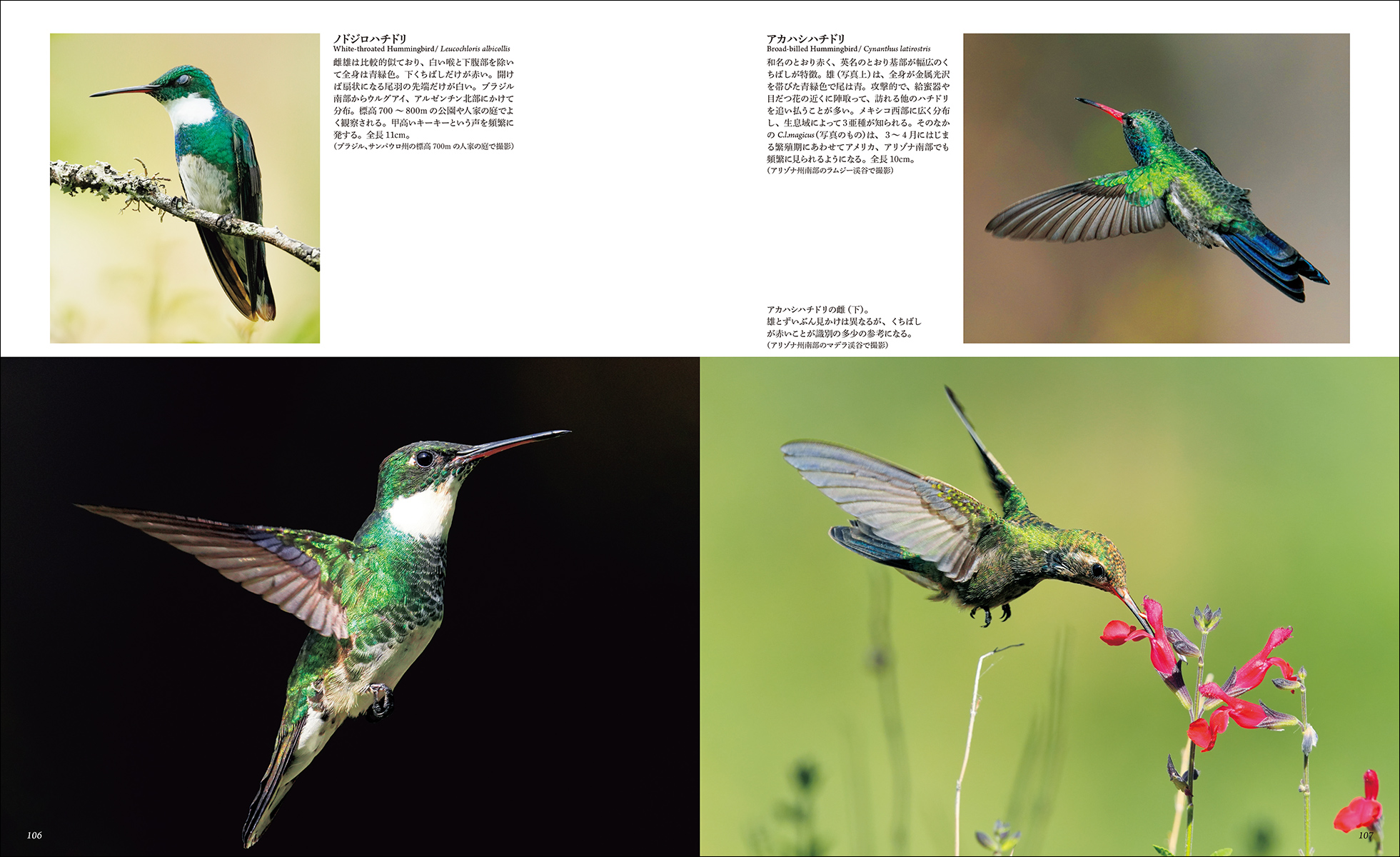 サムネイル画像7
