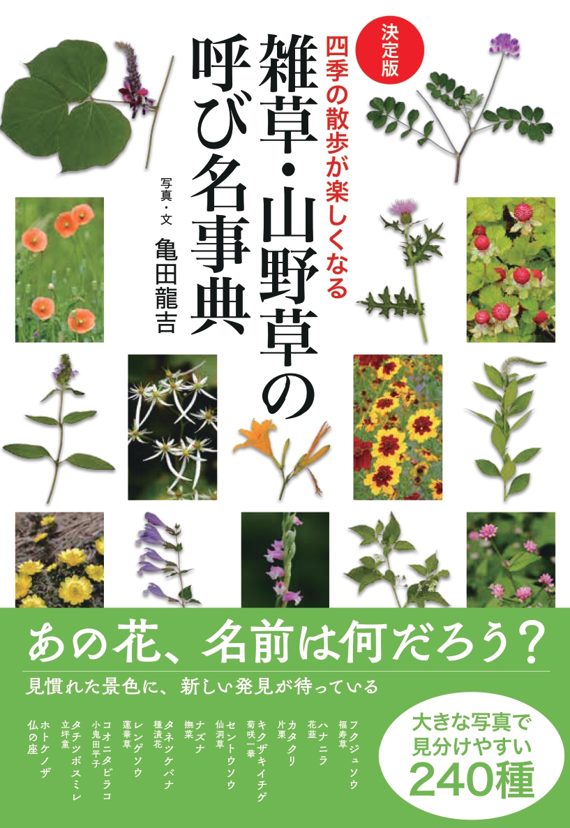 サムネイル画像1