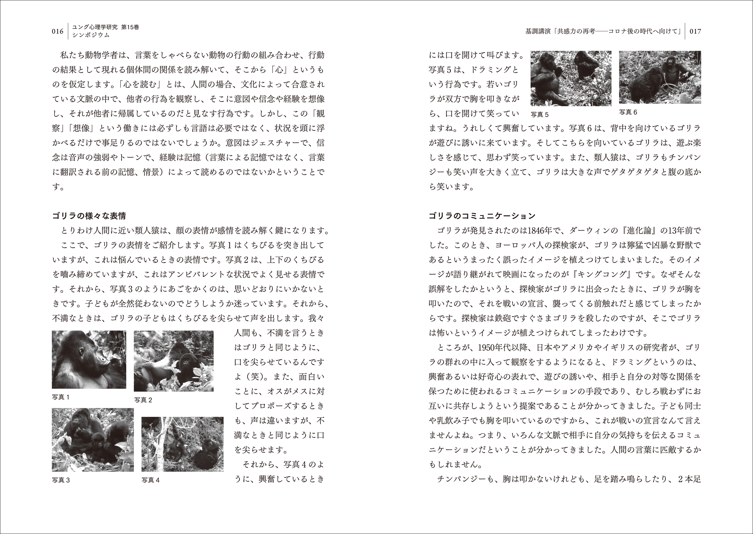 サムネイル画像4