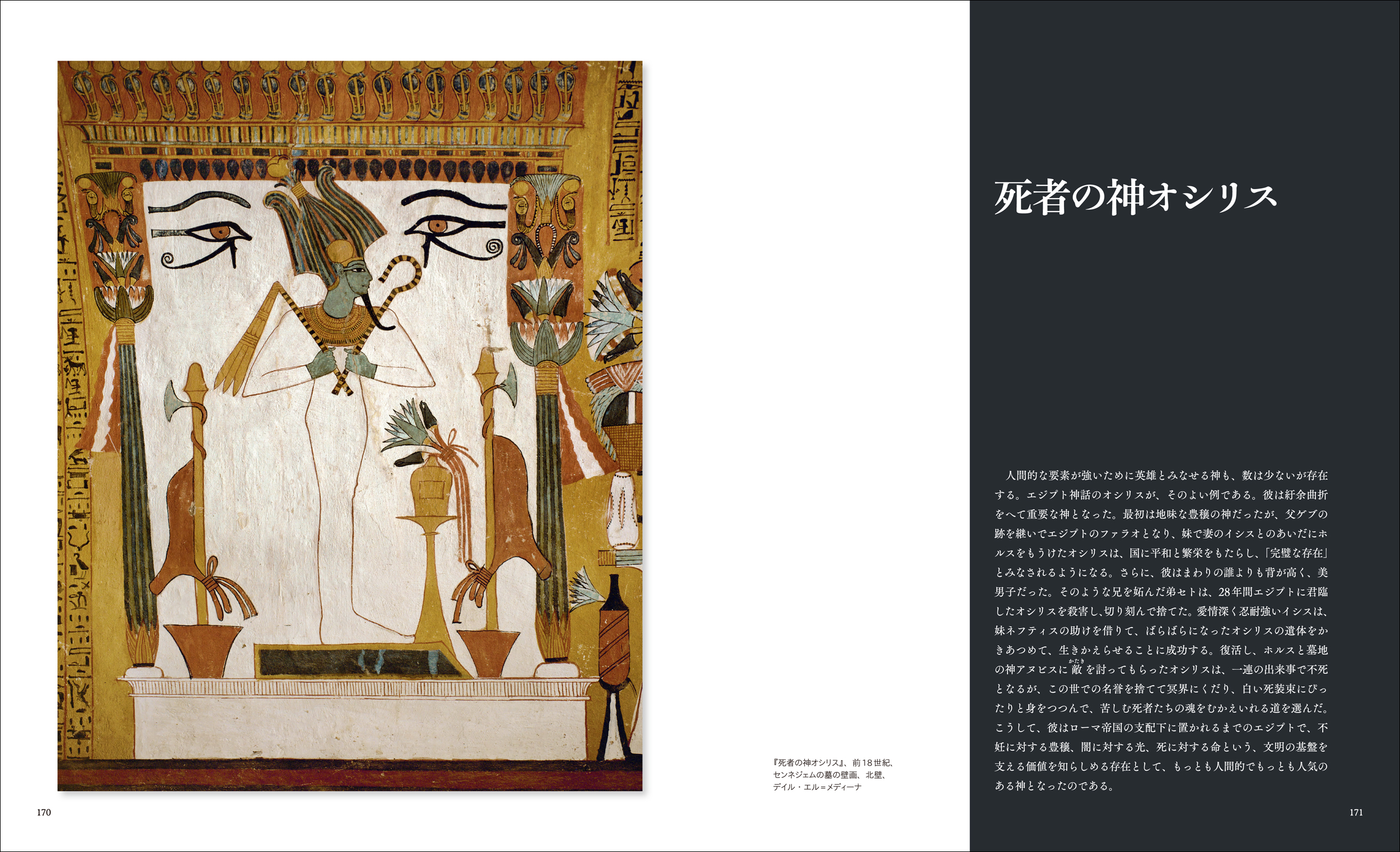 サムネイル画像5