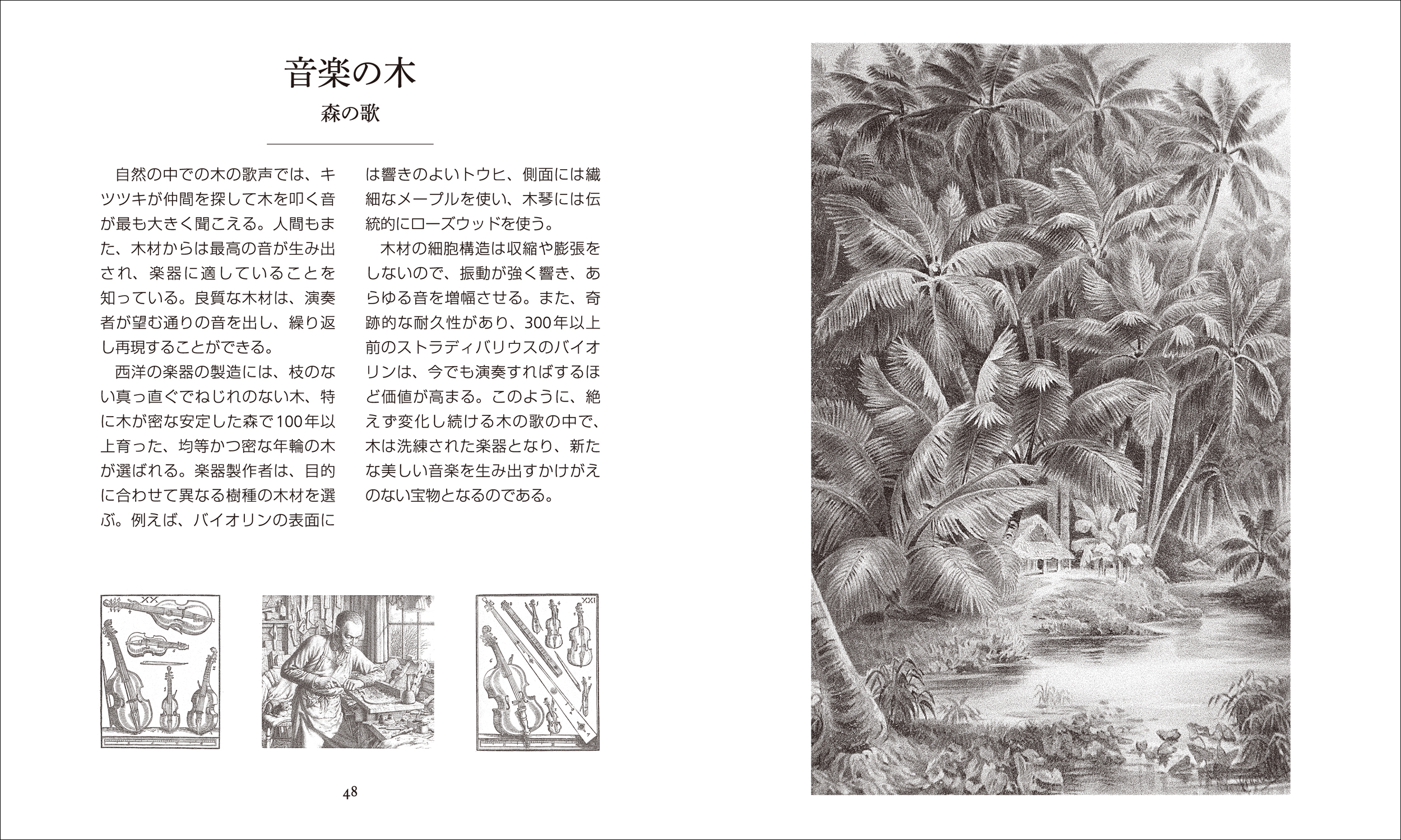サムネイル画像5