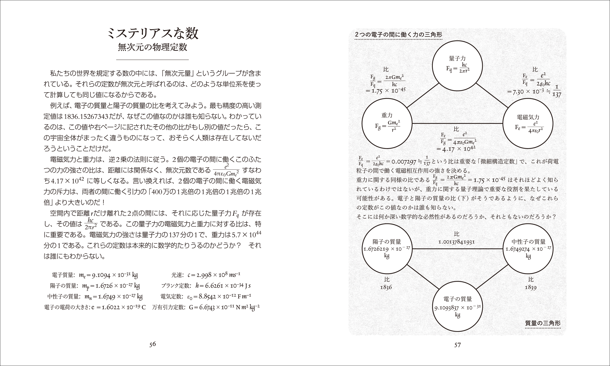 サムネイル画像5